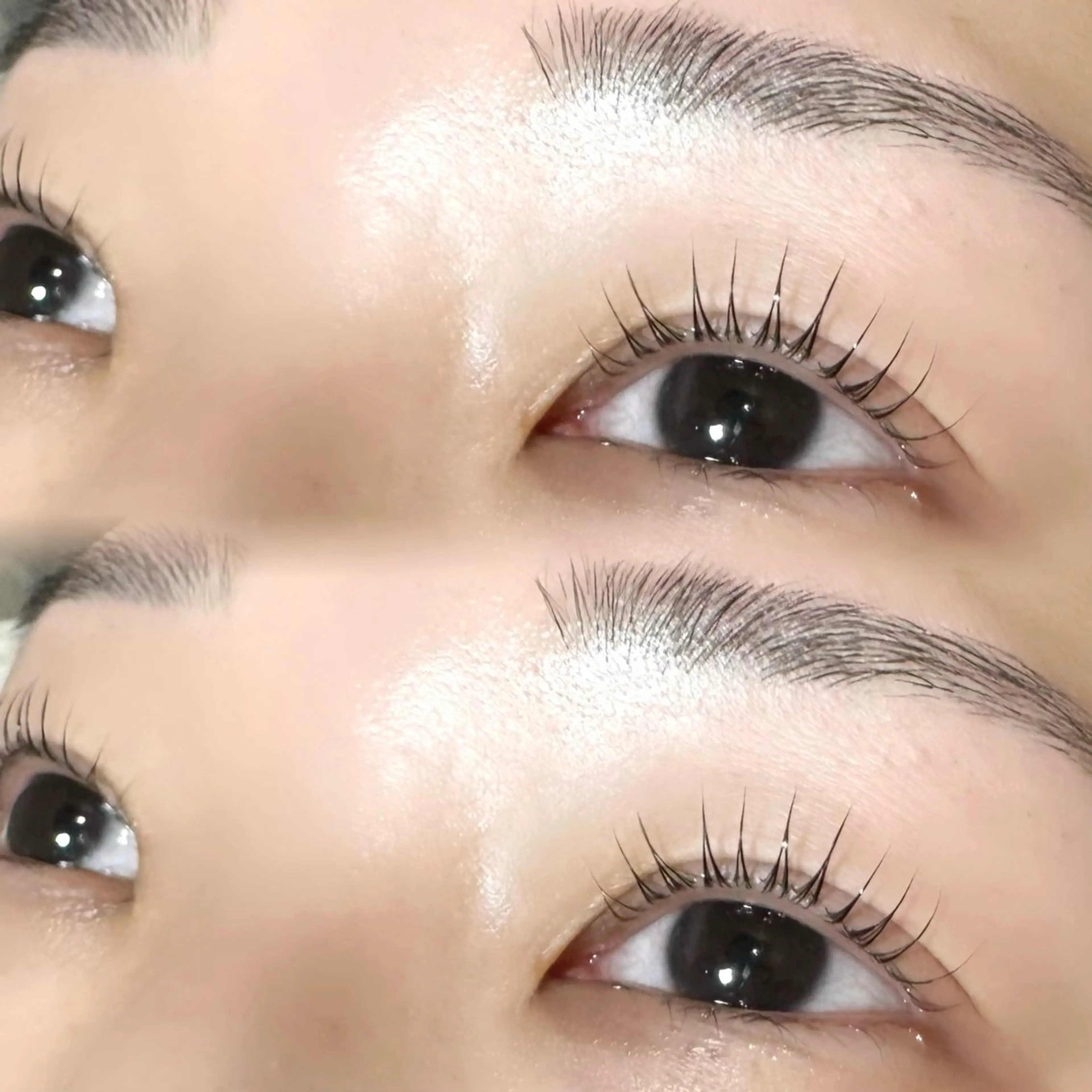 マツエク・マツパ MaaZ 7🦖⸒⸒のマツエク・マツパデザイン