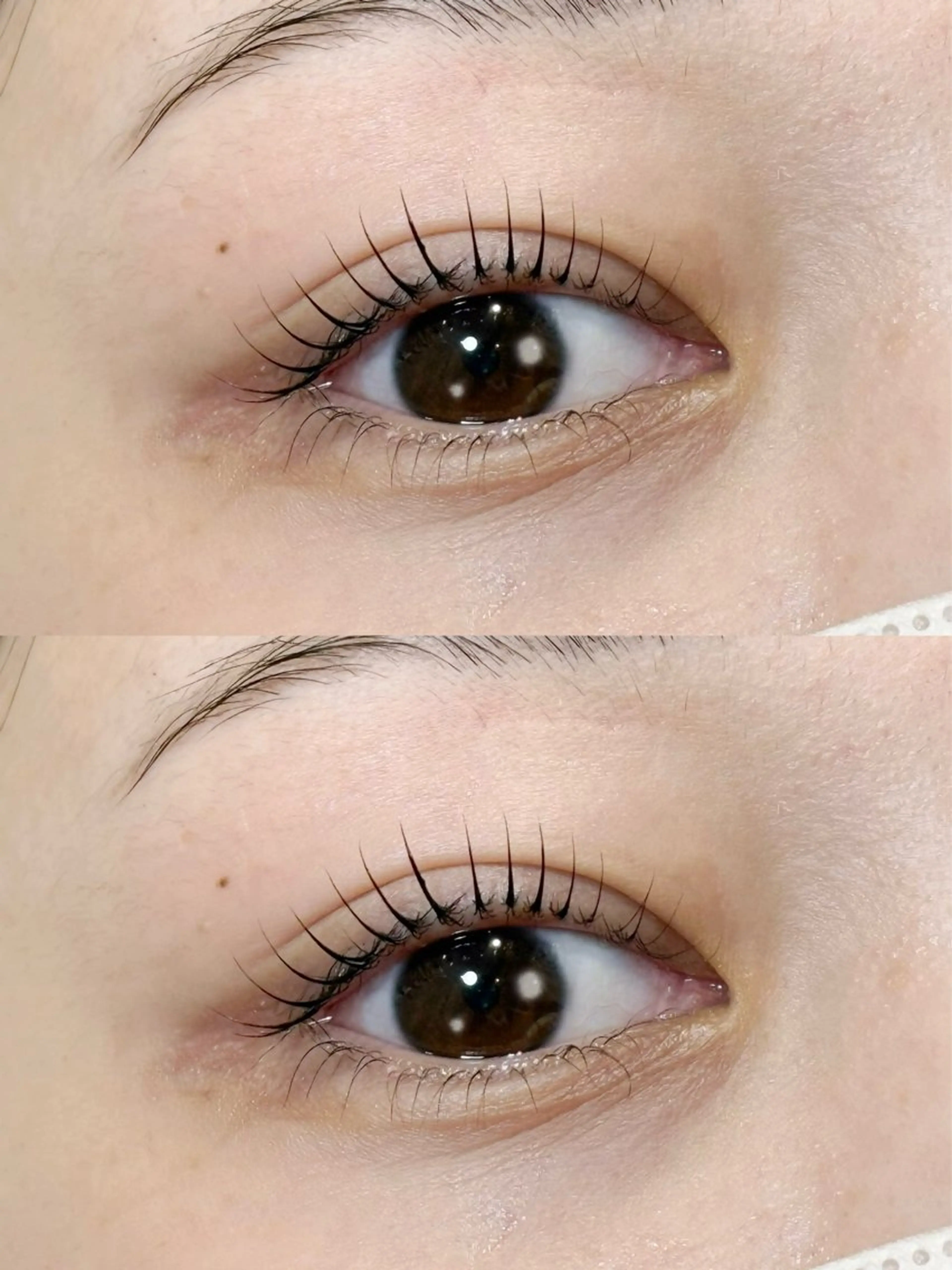 マツエク・マツパ マツパ 𝐞𝐢𝐠𝐡𝐭 yuzuki🫧のマツエク・マツパデザイン