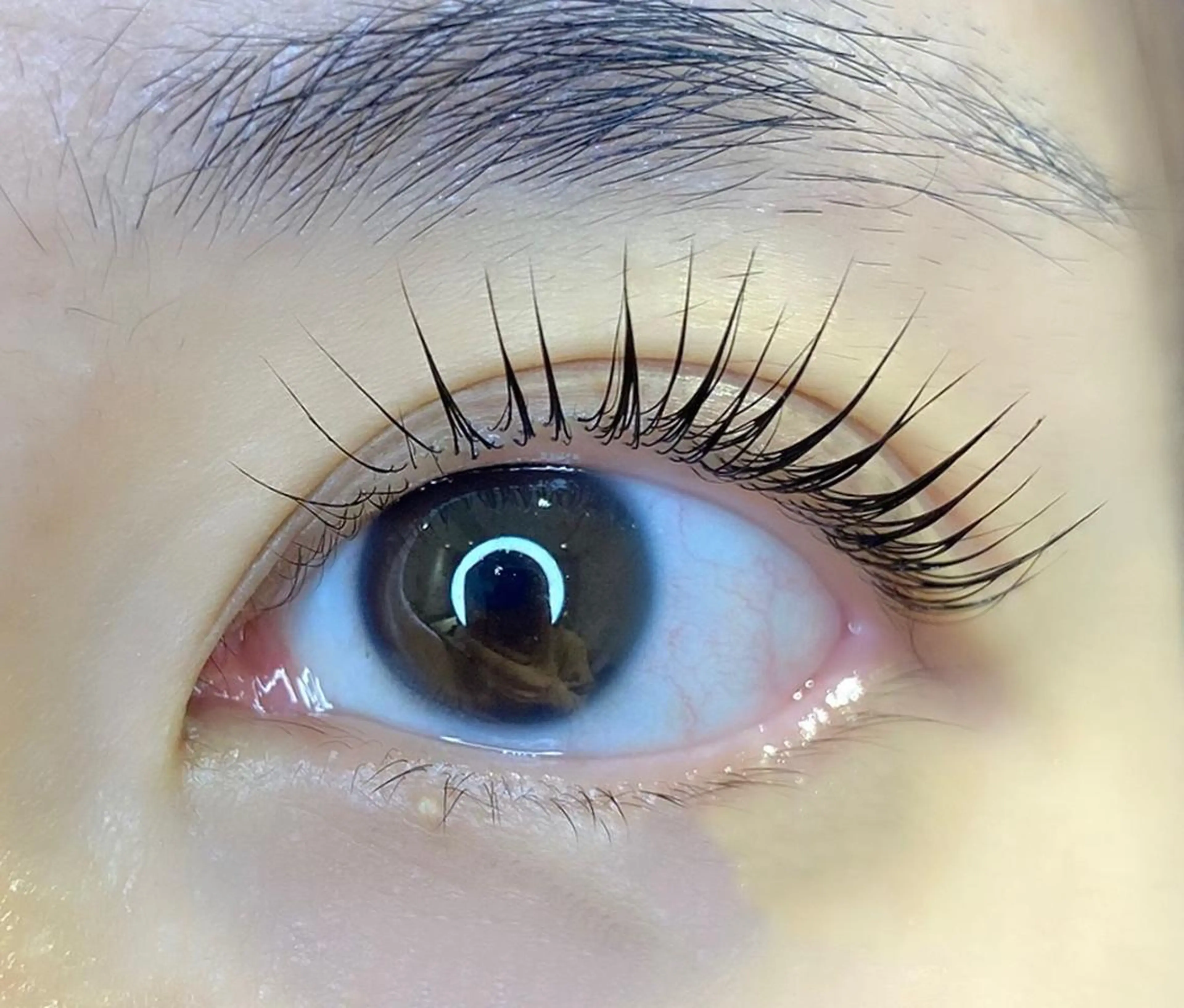 マツエク・マツパ パリジェンヌラッシュリフト ✿𝐥𝐚𝐟. 𝐦𝐚𝐲𝐮✿のエステ・リラクイメージ