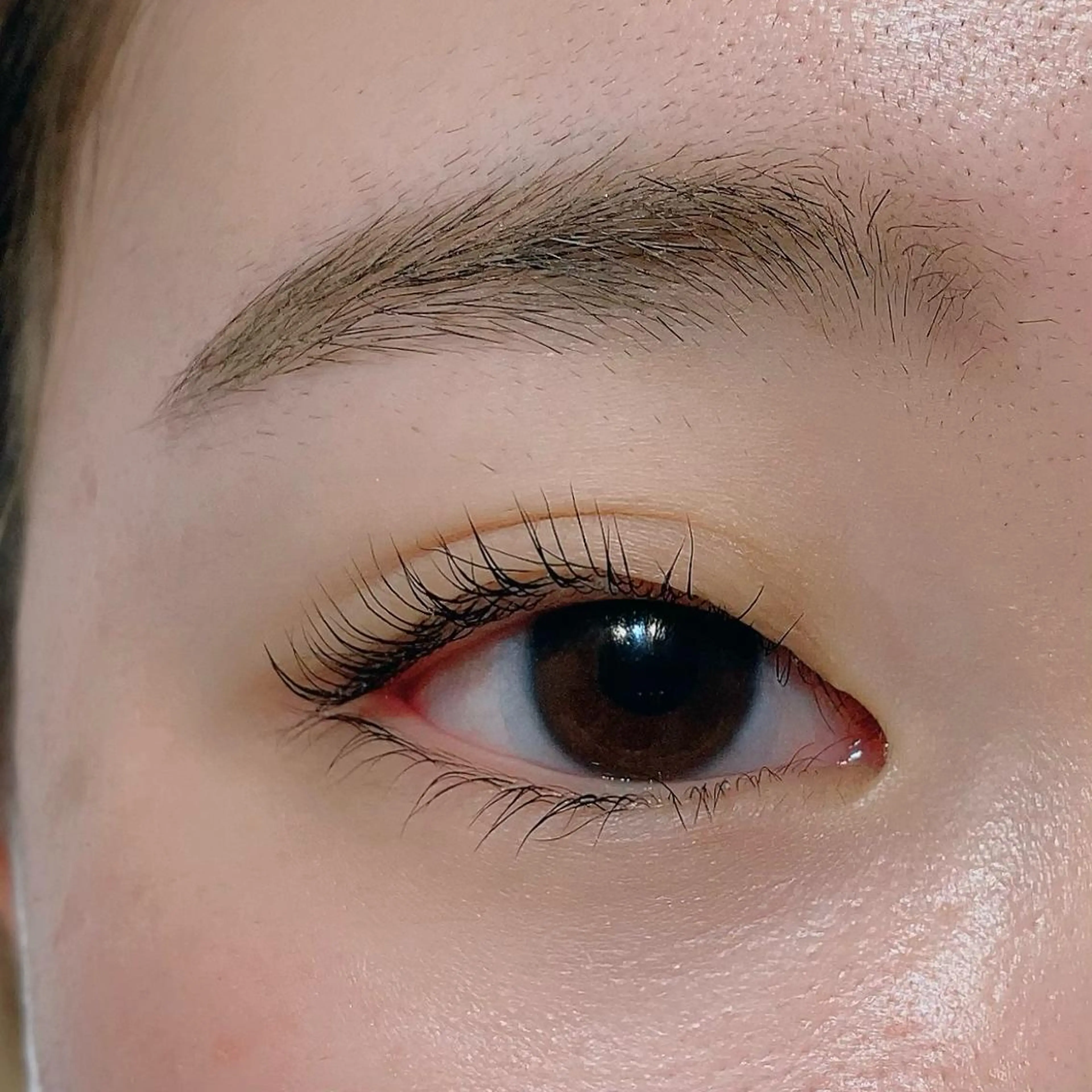 マツエク・マツパ まつげパーマ 下まつげエクステ 束感パリジェンヌ上下 恵比寿ayakaのマツエク・マツパデザイン