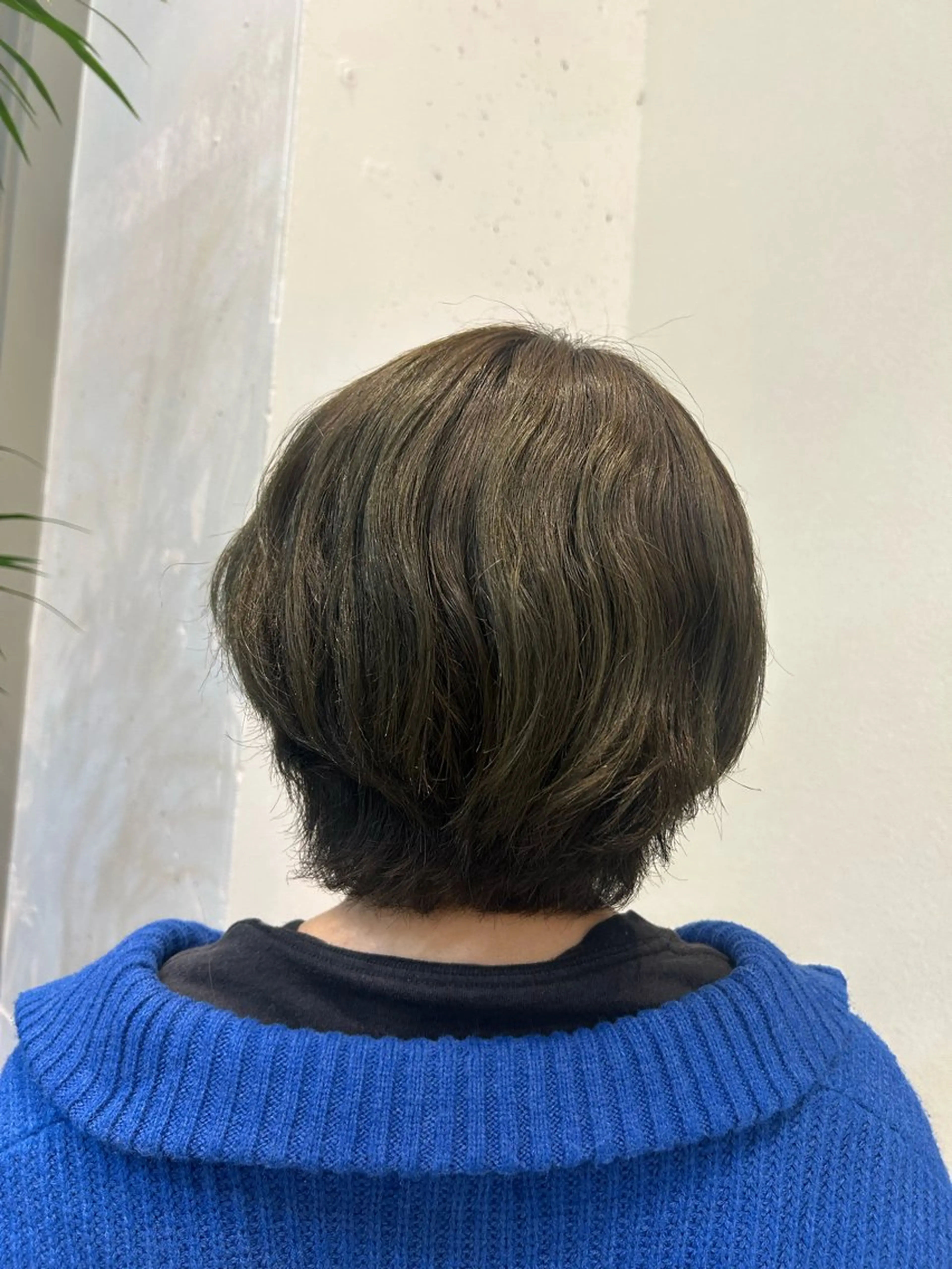 ショート カラー ブラウンカラー オリーブブラウン ウジイエ ミユウのヘアスタイル