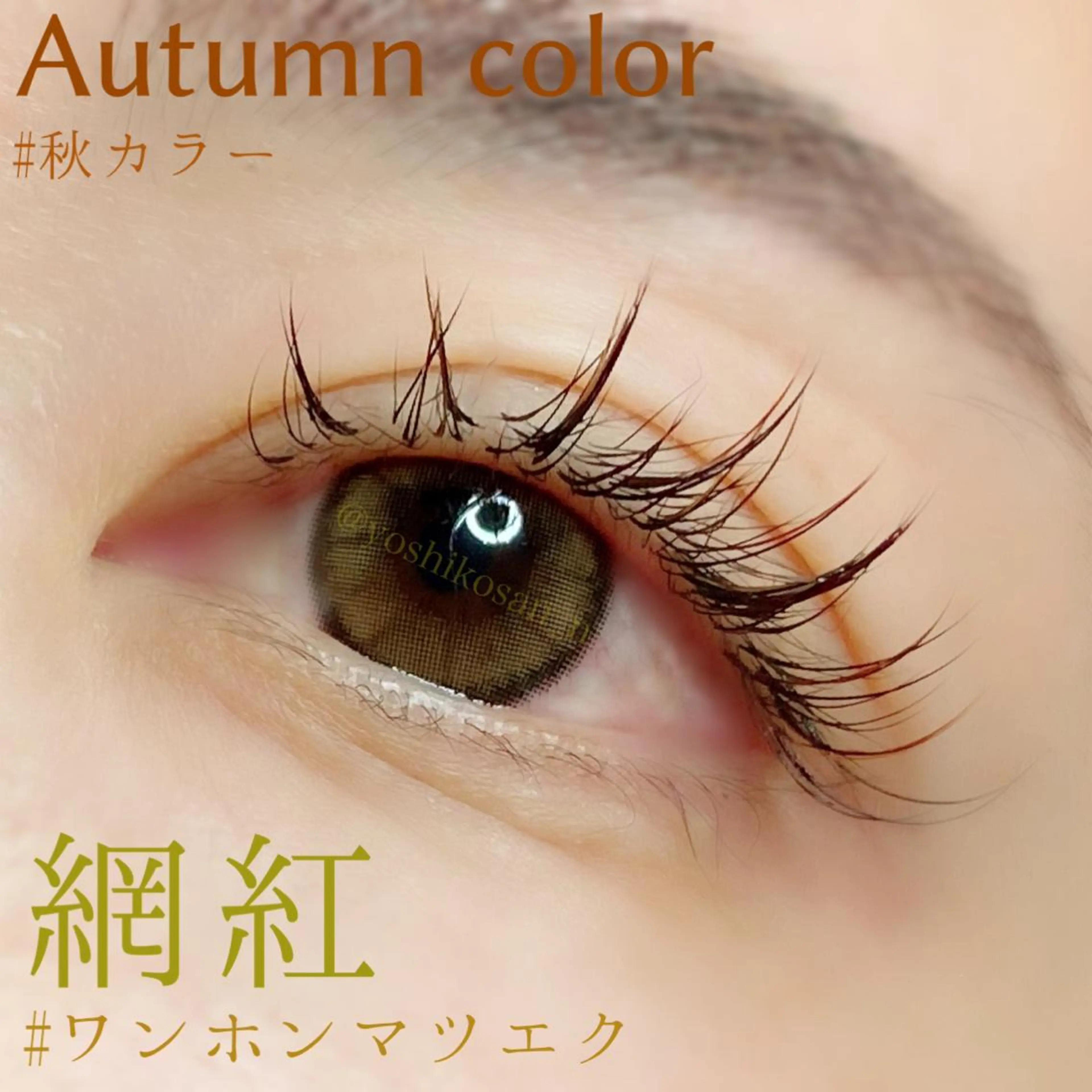 マツエク・マツパ 束感まつ毛 ワンホンマツエク Pixie Bob 🐈‍⬛　位田のマツエク・マツパデザイン