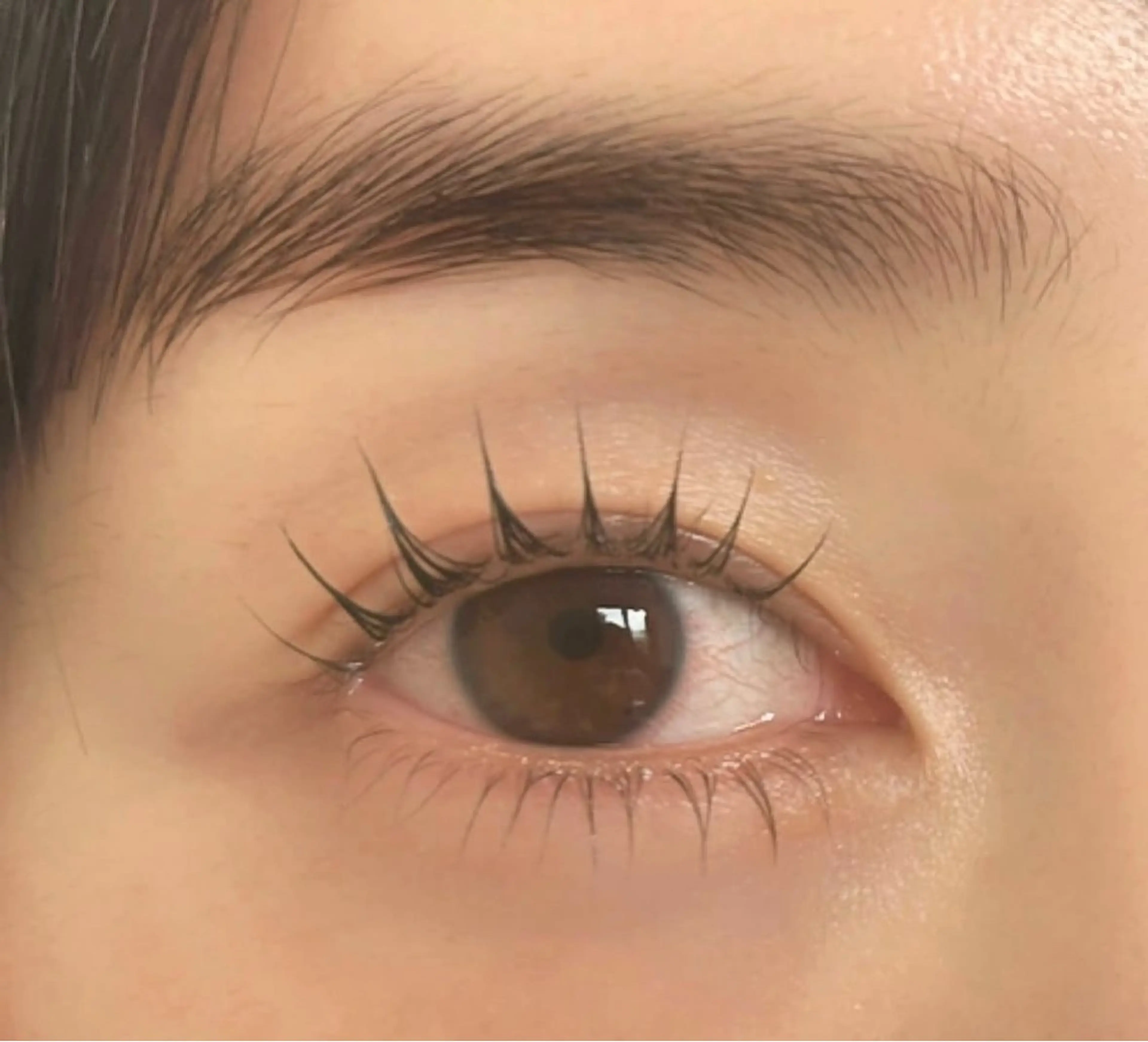 マツエク・マツパ マツパ chouchou .柏の葉🤍箭内海咲のマツエク・マツパデザイン