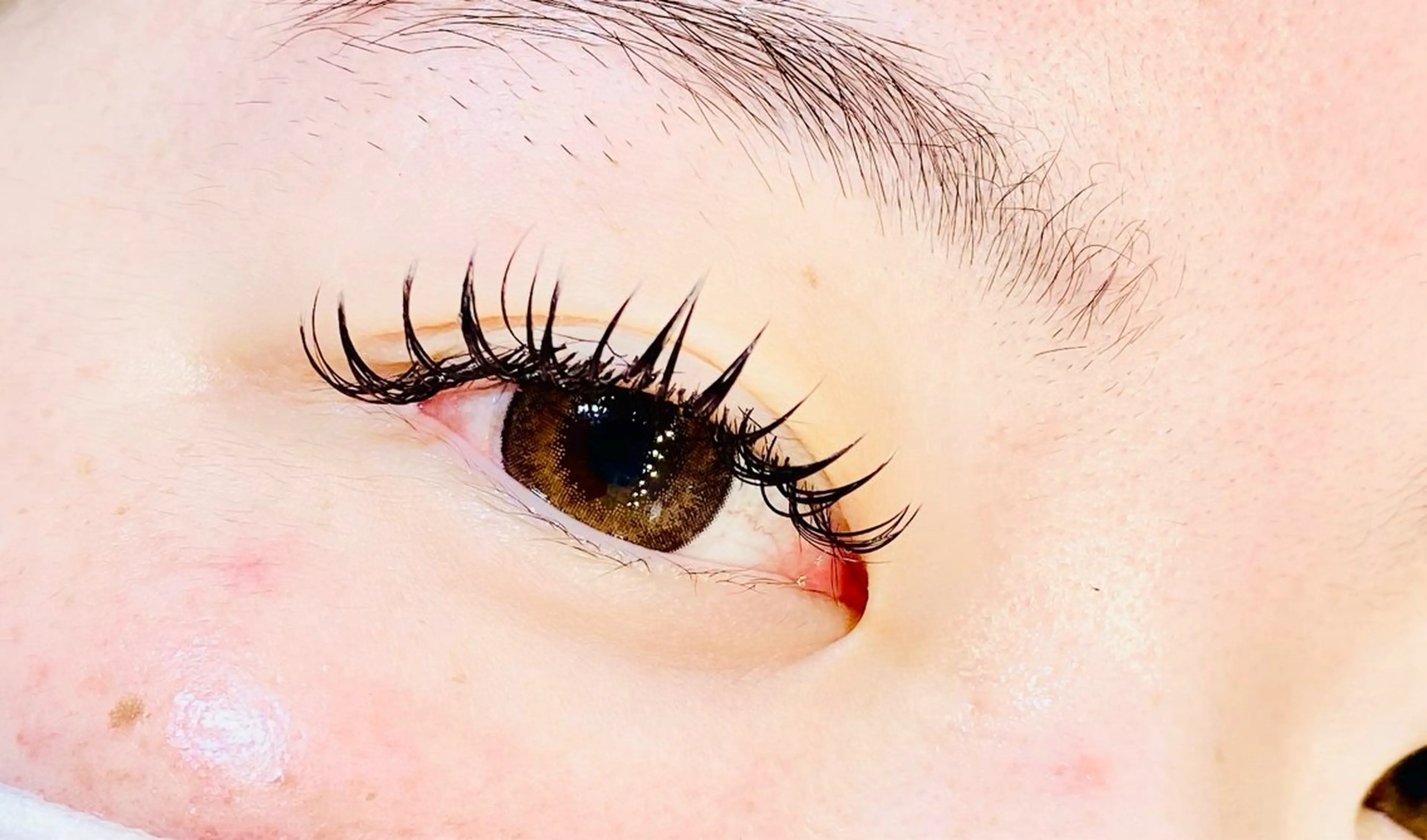 最新LEDライト使用💡シングルラッシュエクステ👁️の写真