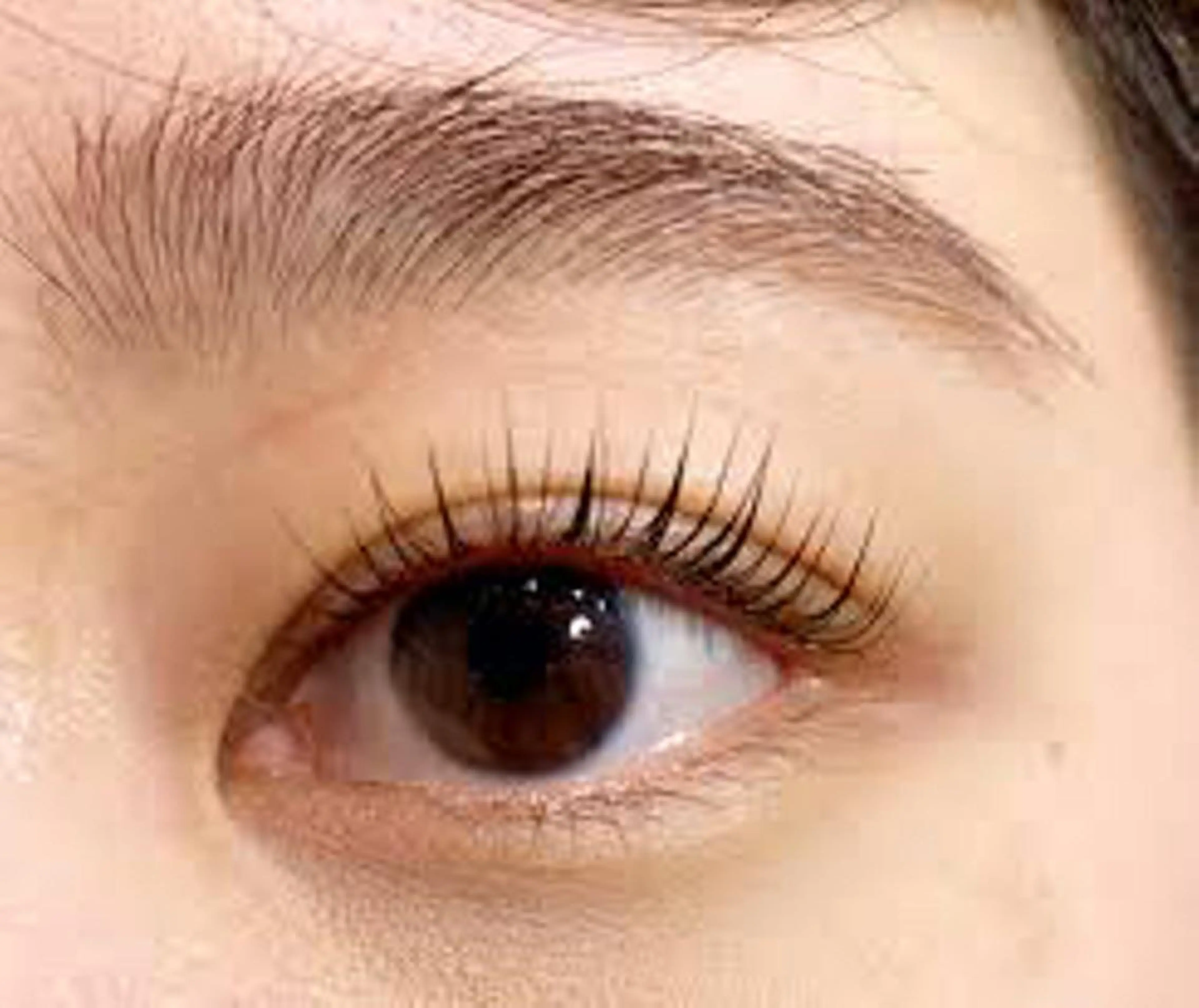 🩷ご新規様🩷パリジェンヌラッシュリフトの写真