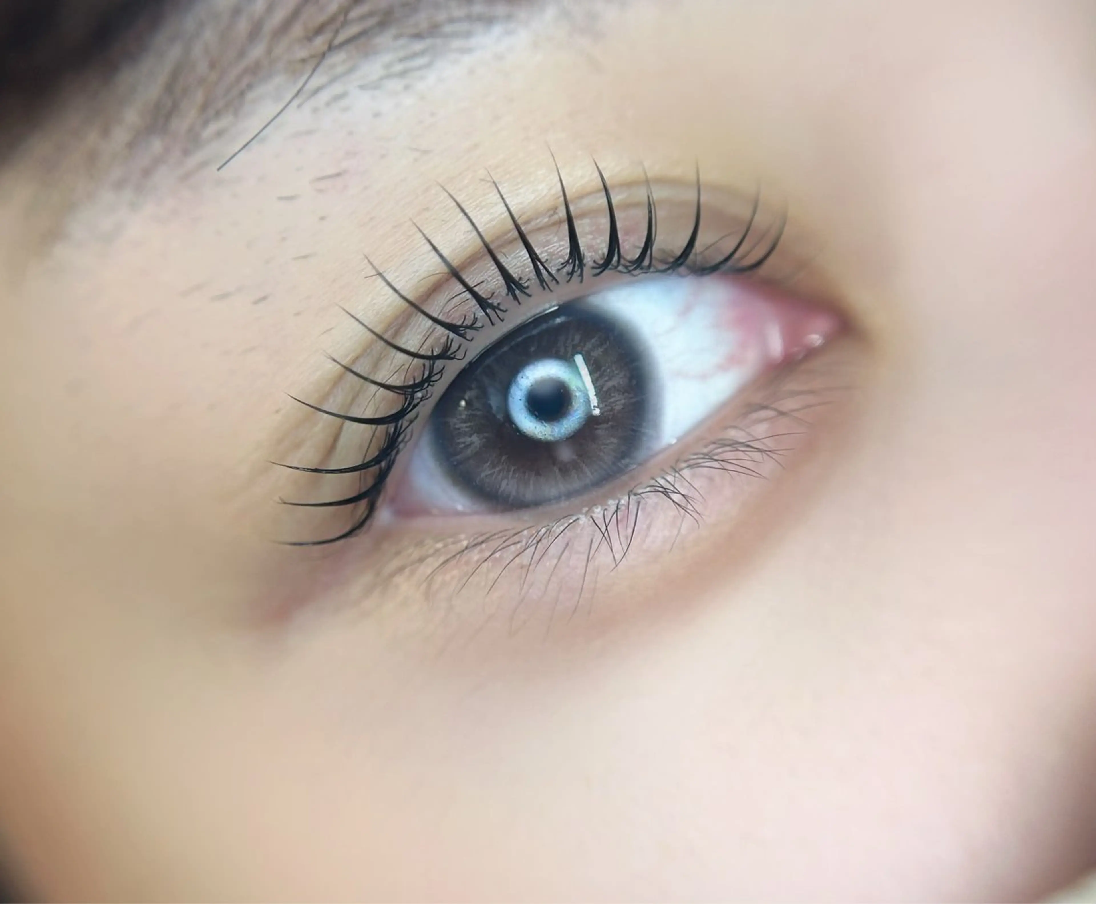マツエク・マツパ マツパ 🎀eyelist. mizuki🐈‍⬛の眉毛・アイブロウイメージ