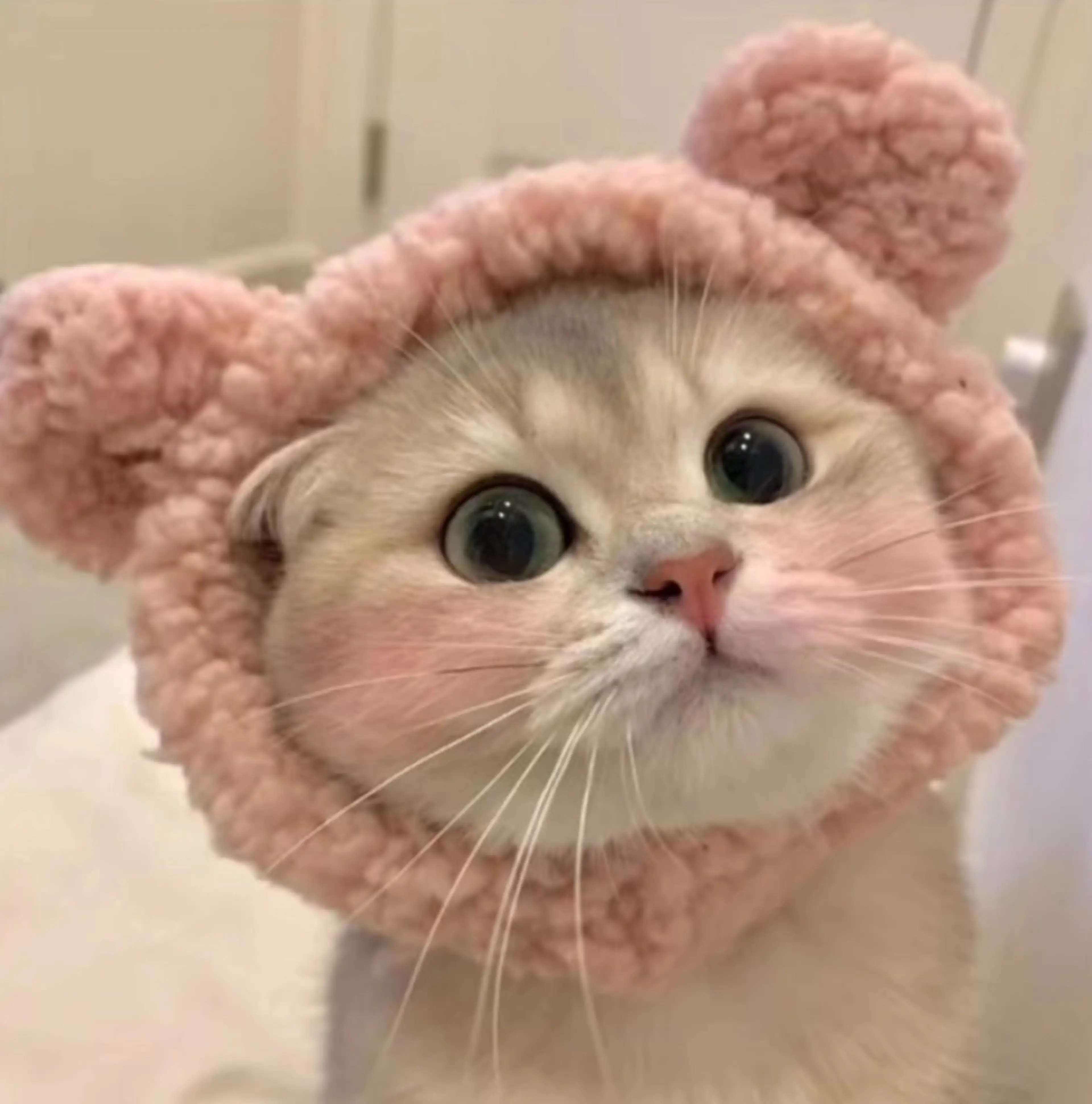 まつ毛パーマ＋仕上げコーティング付き🪐 ⟡.⋆の写真