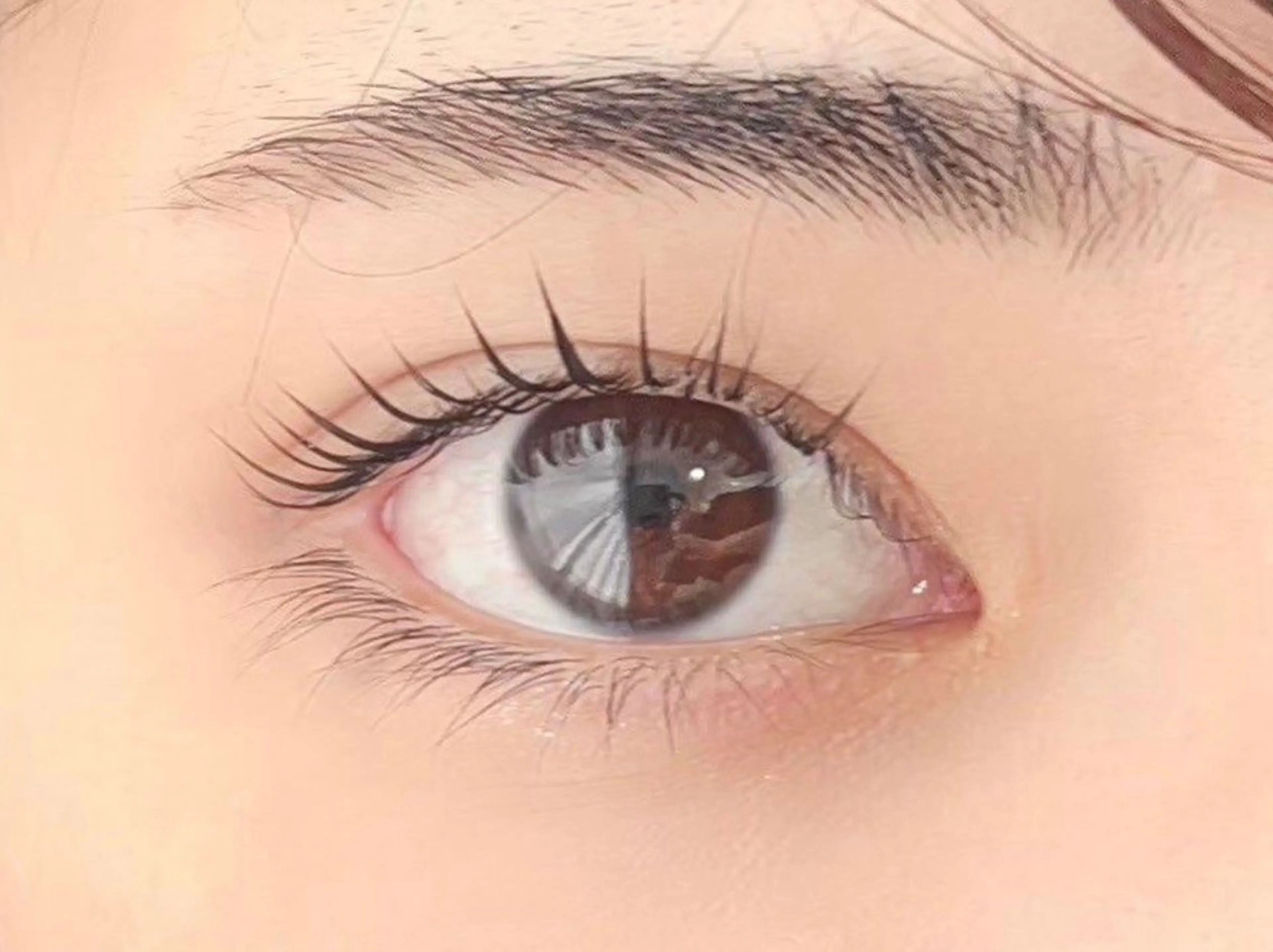 【リニューアルOPEN記念🤍】上まつ毛パーマ+下パリジェンヌ ♥ 9,600円 → 5,000円 ♥の写真