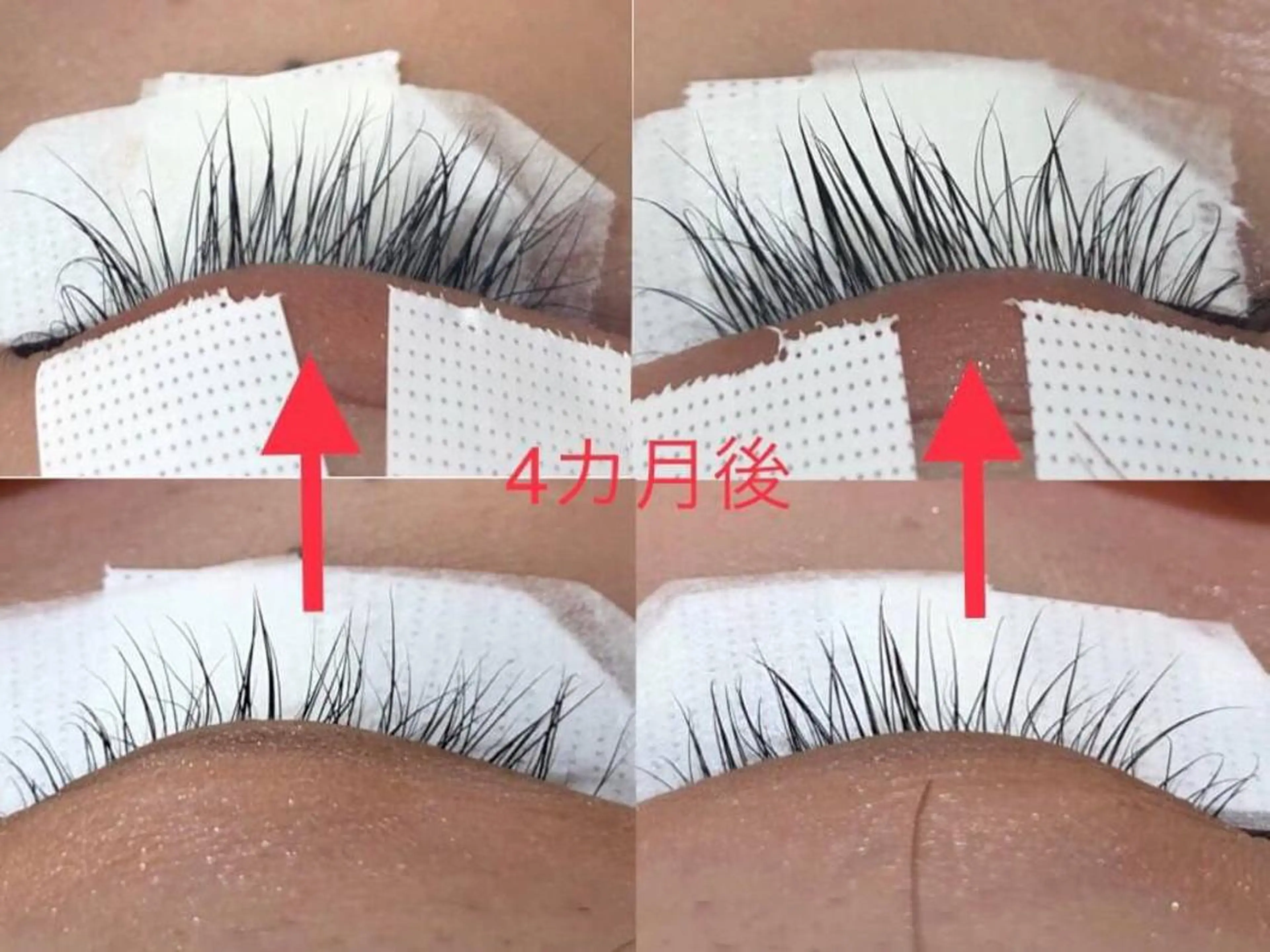 マツエク・マツパ eyelist 大垣のマツエク・マツパデザイン