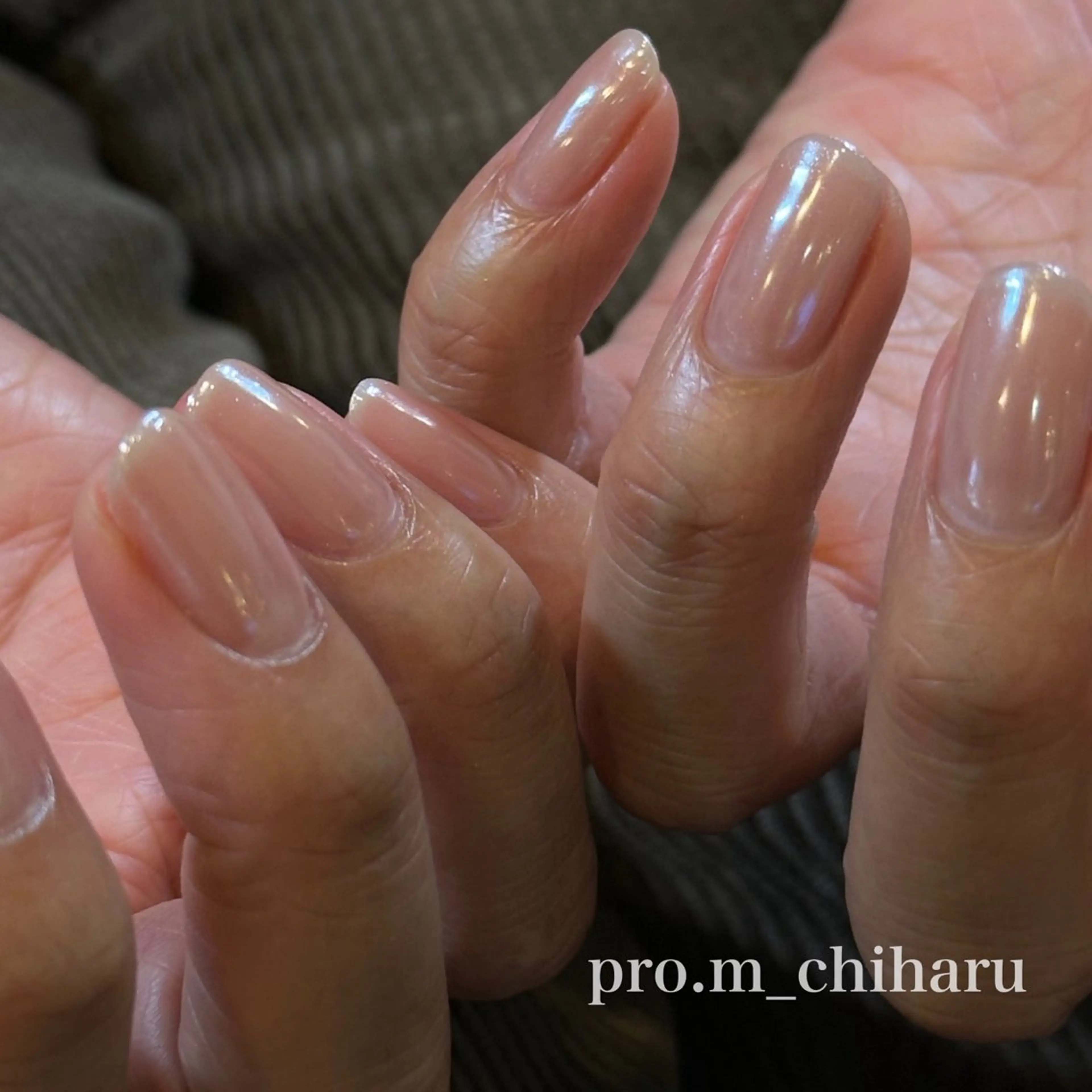 【ジェル】オフ込🦖handマグネットorミラーorフラッシュの写真