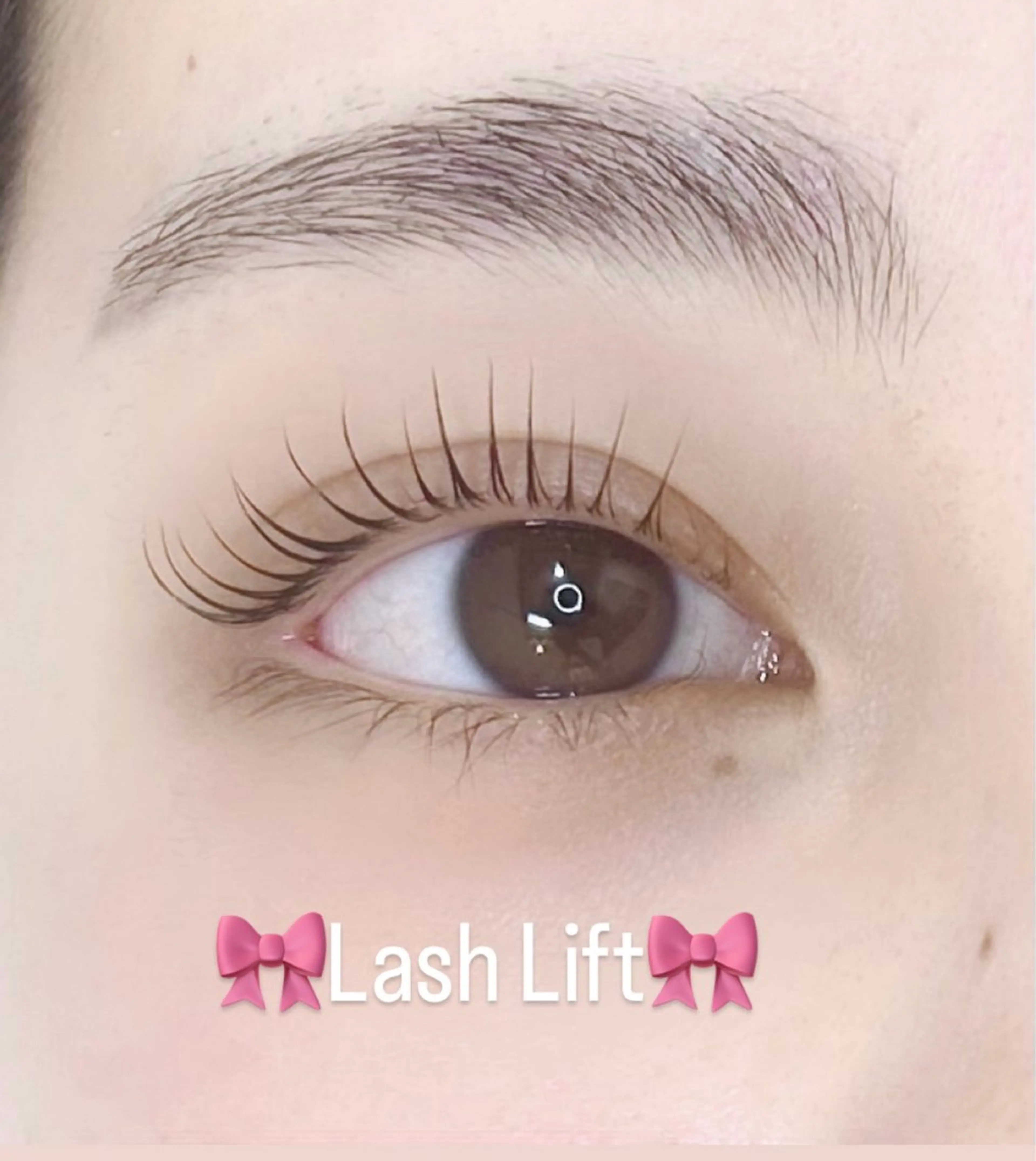 マツエク・マツパ LUVISM 長岡  小熊のマツエク・マツパデザイン