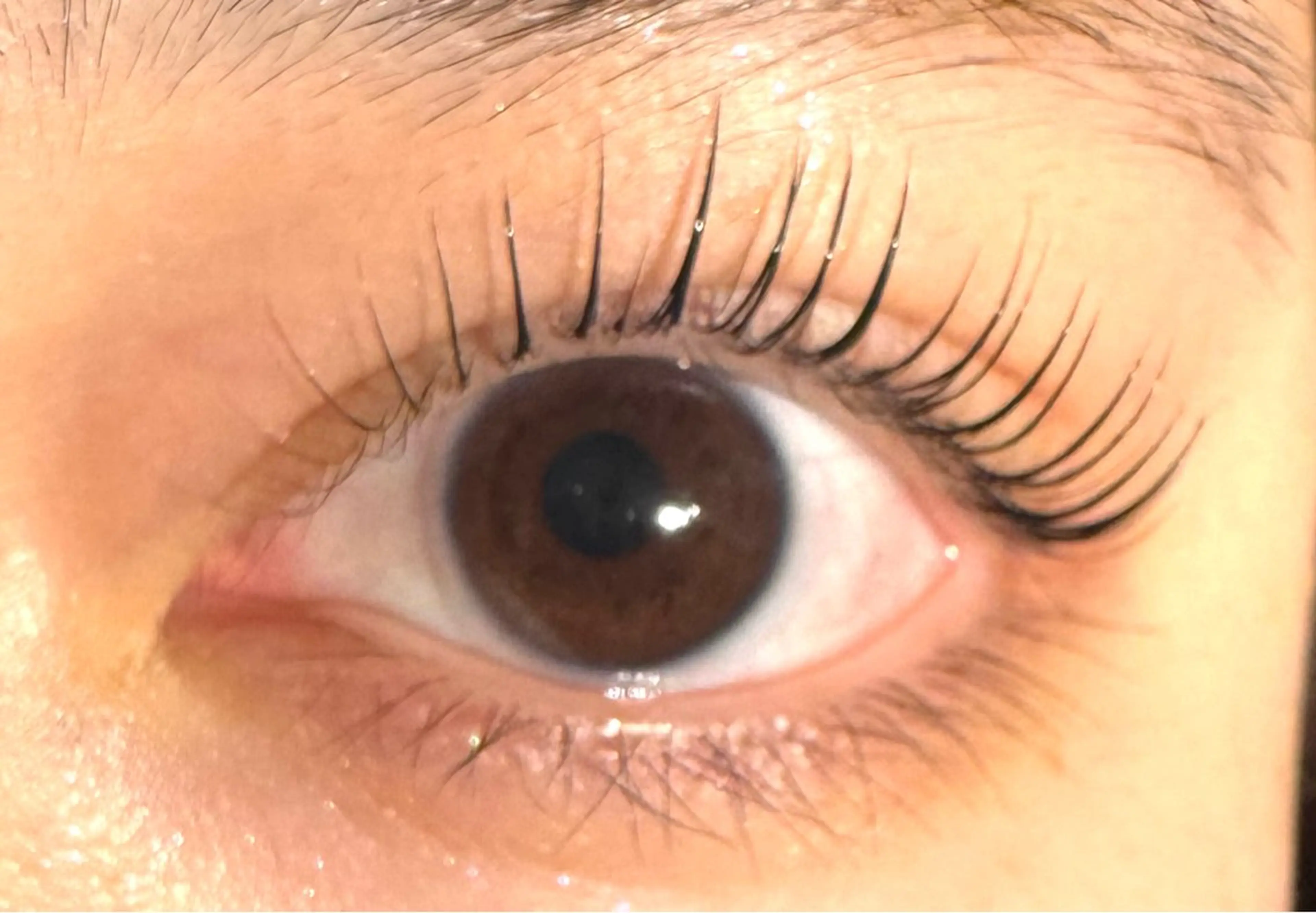 マツエク・マツパ 水 田のマツエク・マツパデザイン