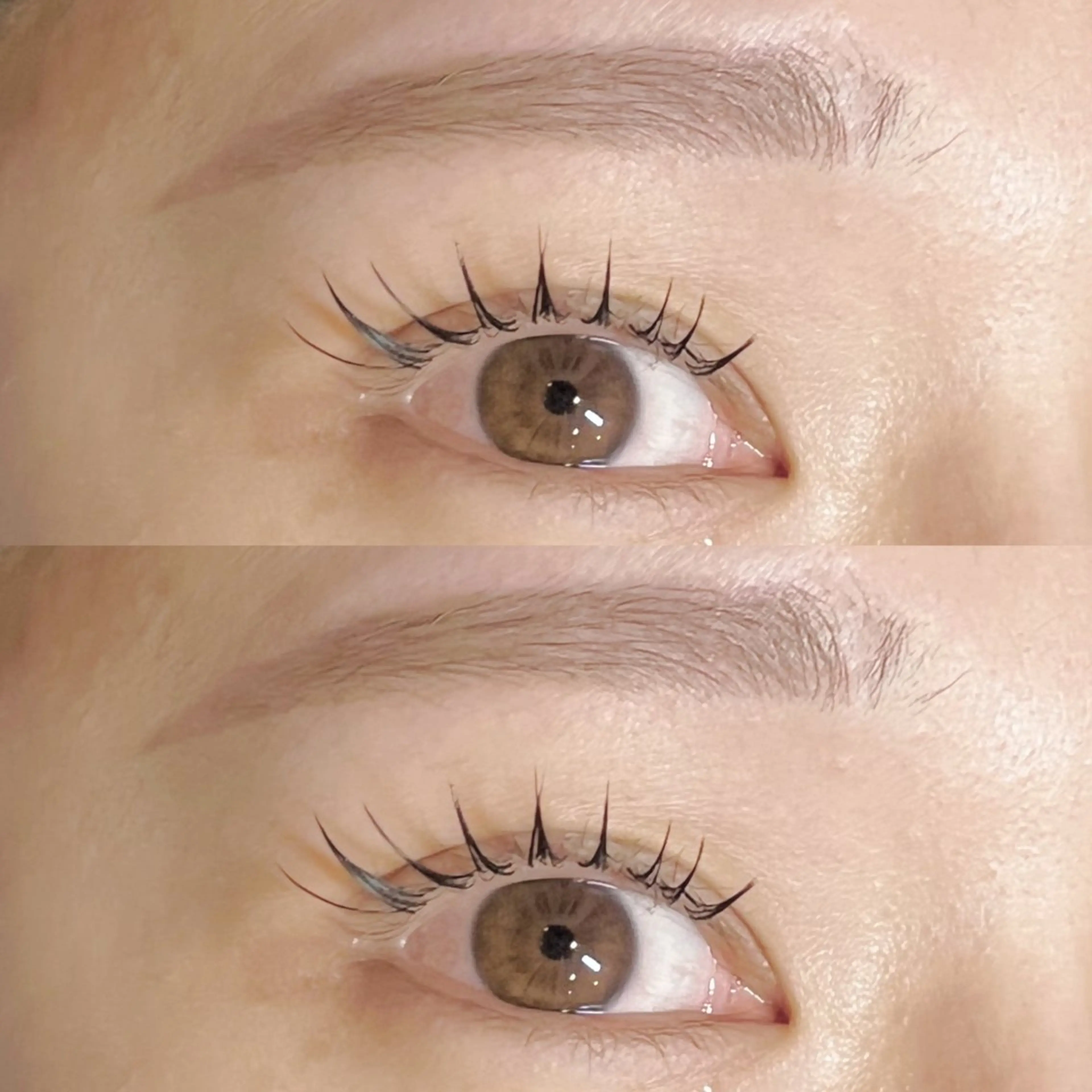 🤍 美眉スタイリング+フラットラッシュ 100本の写真