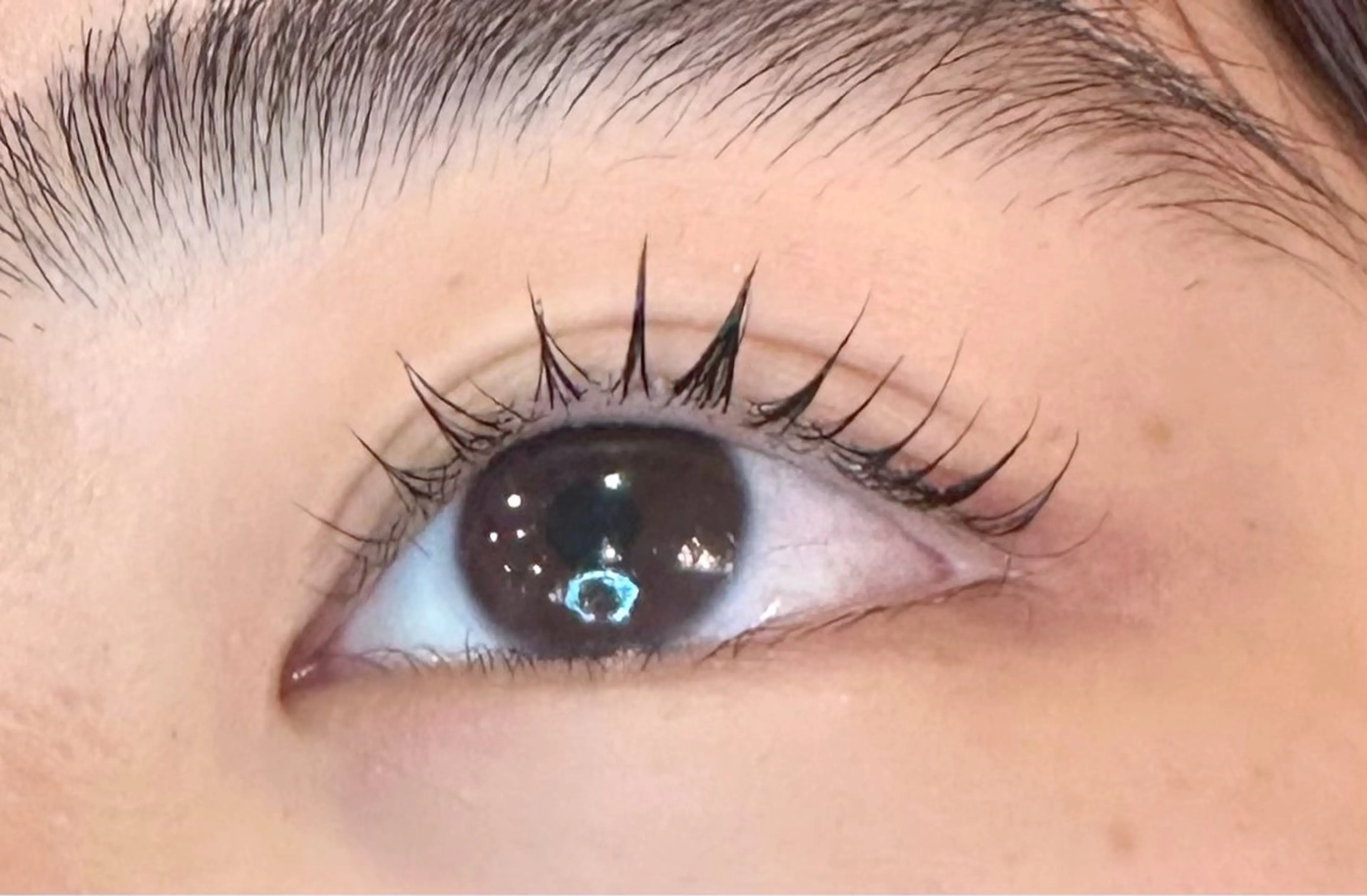 🍒大人気セットメニュー🍒ラッシュリフトとアイブロウwaxのセットメニュー🤍保湿トリートメント付きの写真