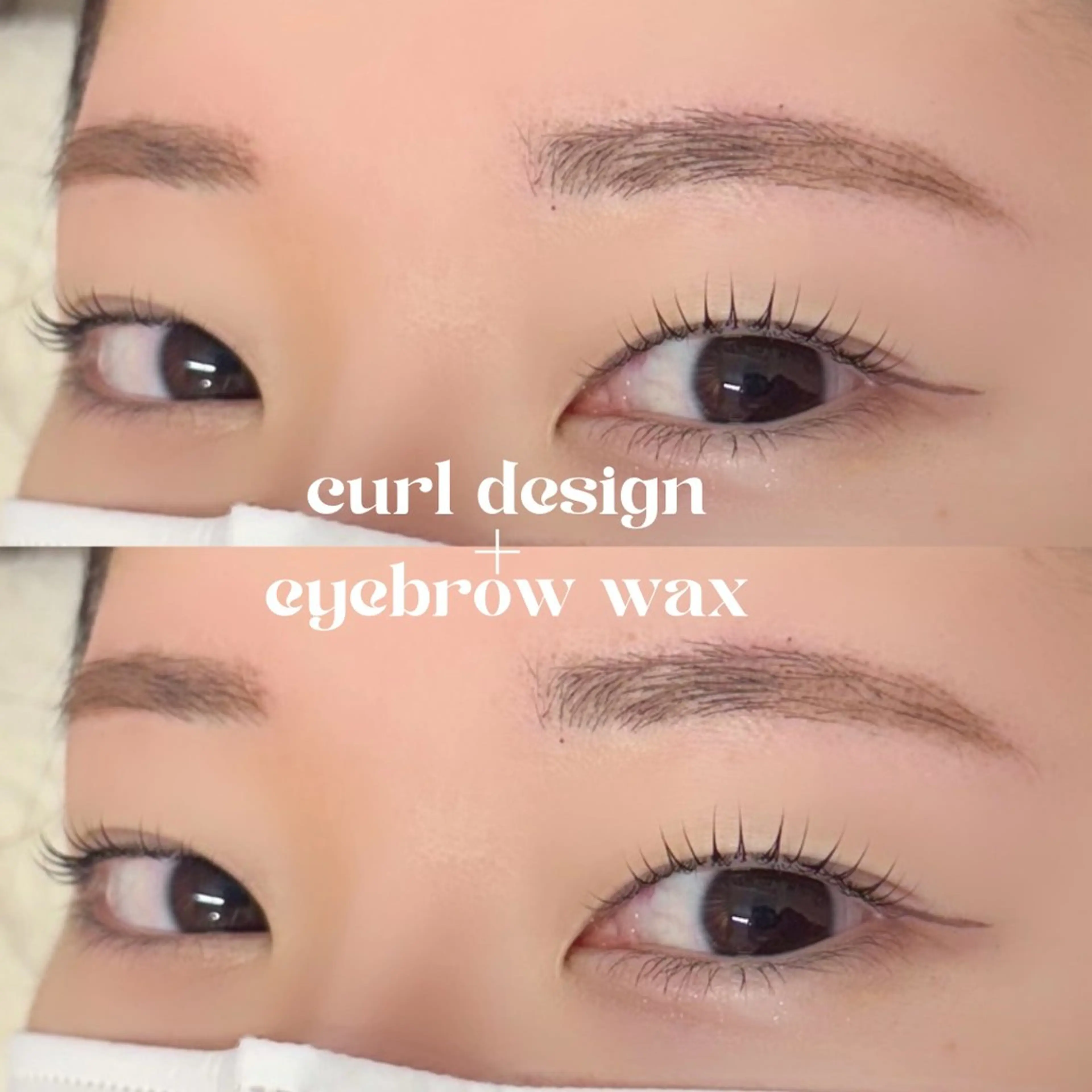 ãããšã¯ã»ããã Cã«ãŒã« ããã¥ã©ã« äžéÃãŸã€æ¯ããŒã ããã meg .ã®ãããšã¯ã»ããããã¶ã€ã³