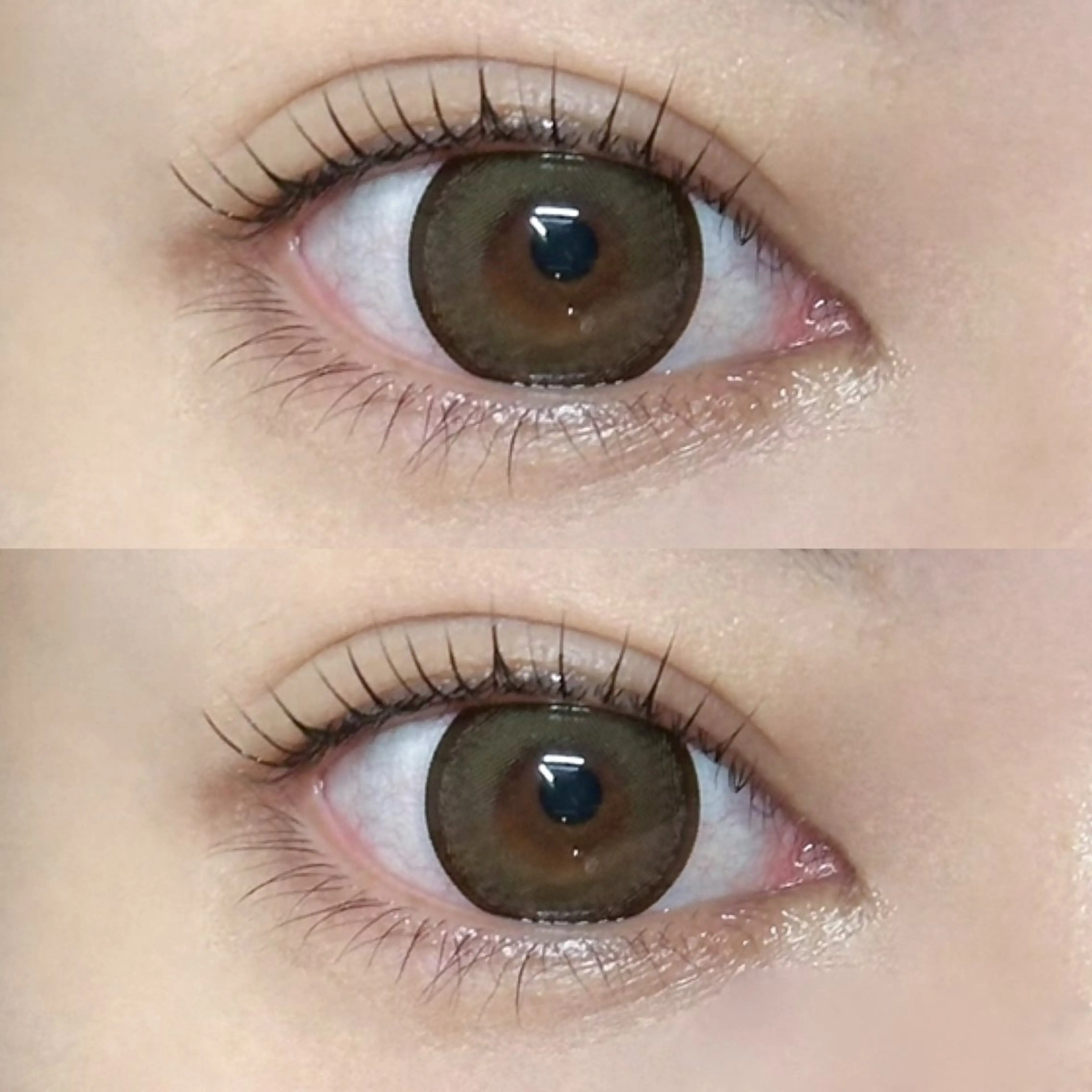 マツエク・マツパ Reina🎀/ 韓国まつげ🫧/梅田のマツエク・マツパデザイン