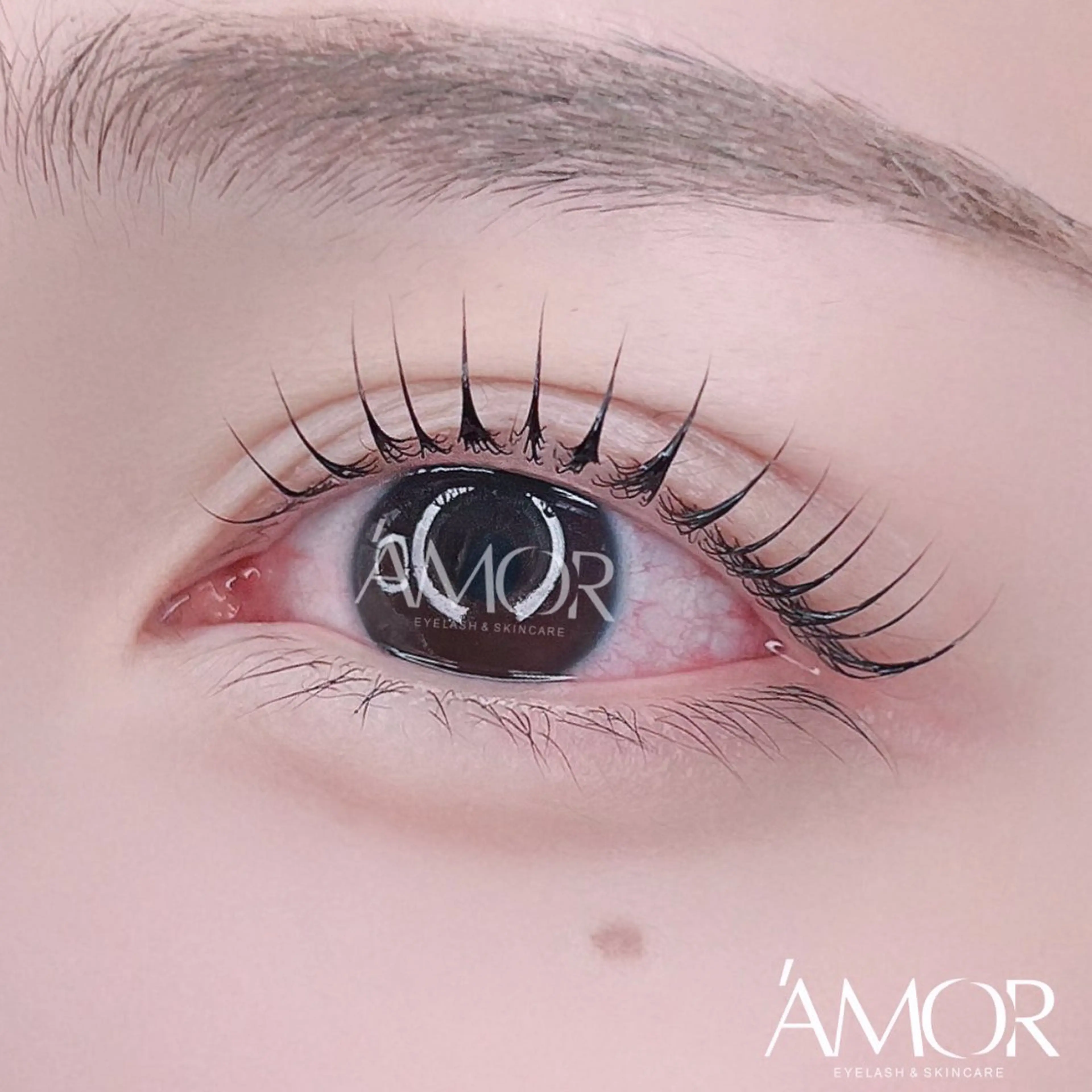 マツエク・マツパ マツパ Amor所属・AMOR EYELASHのマツエク・マツパデザイン
