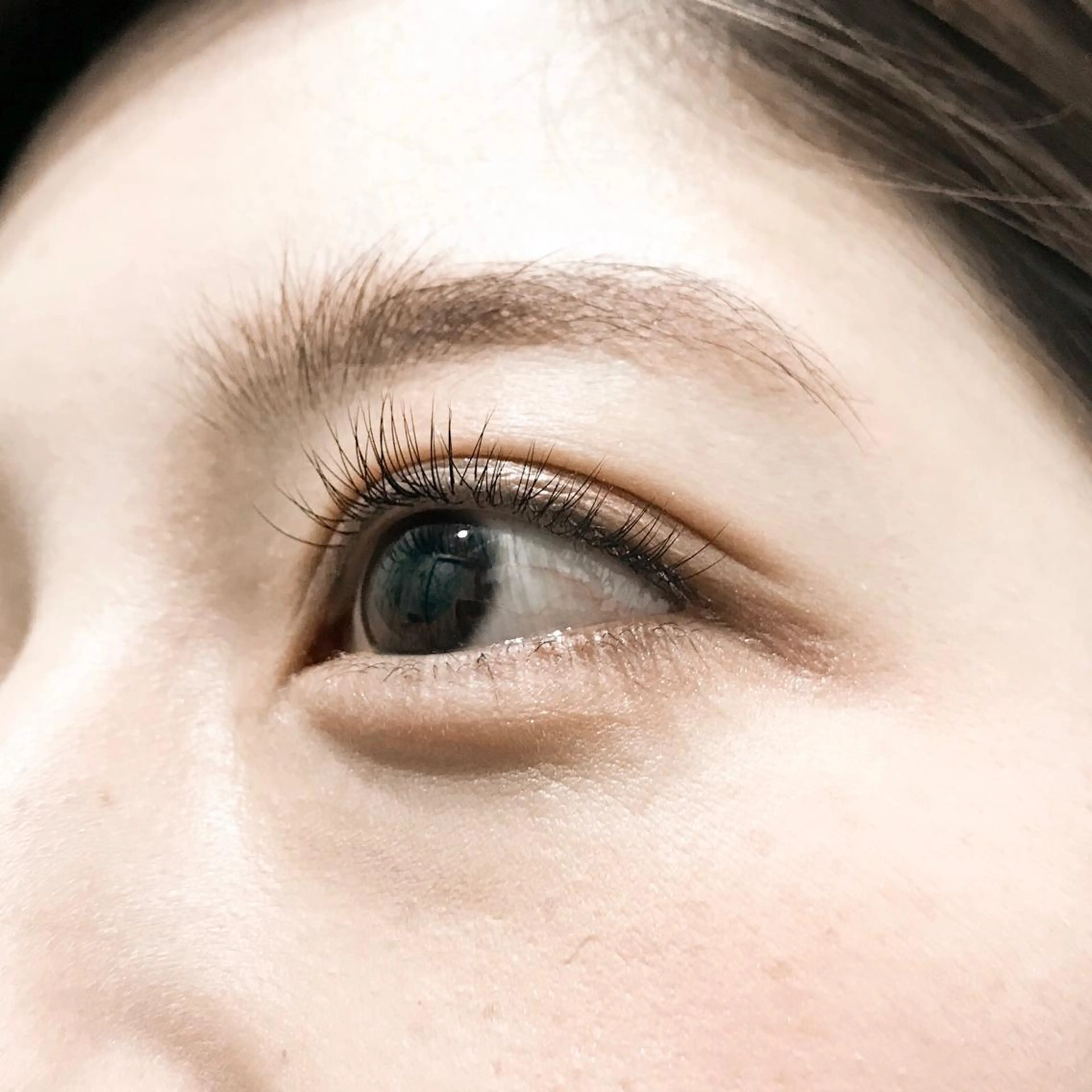 マツエク・マツパ W aikoの眉毛・アイブロウイメージ