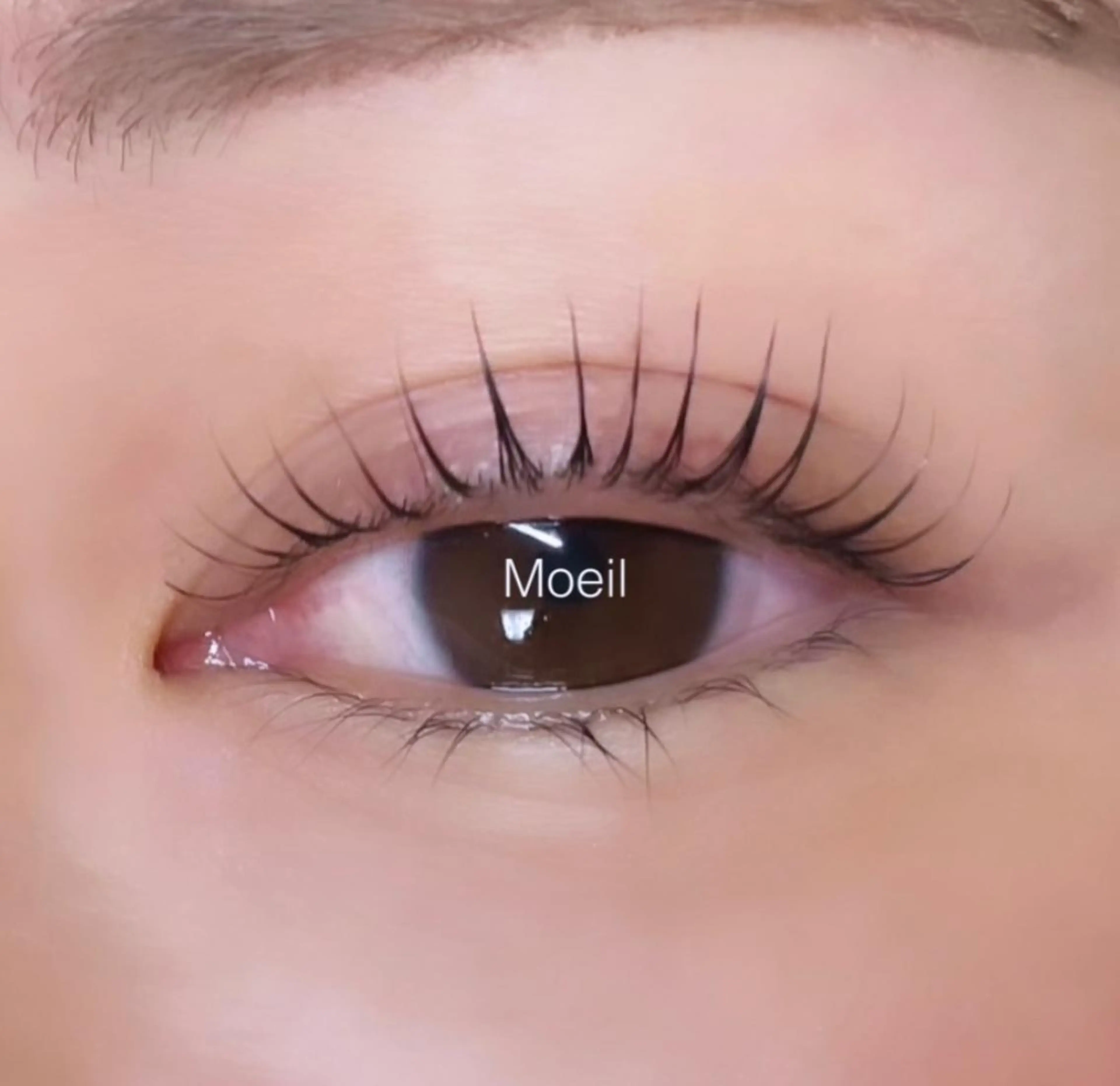 マツエク・マツパ マツパ Moeil. /ﾓｲﾕのマツエク・マツパデザイン