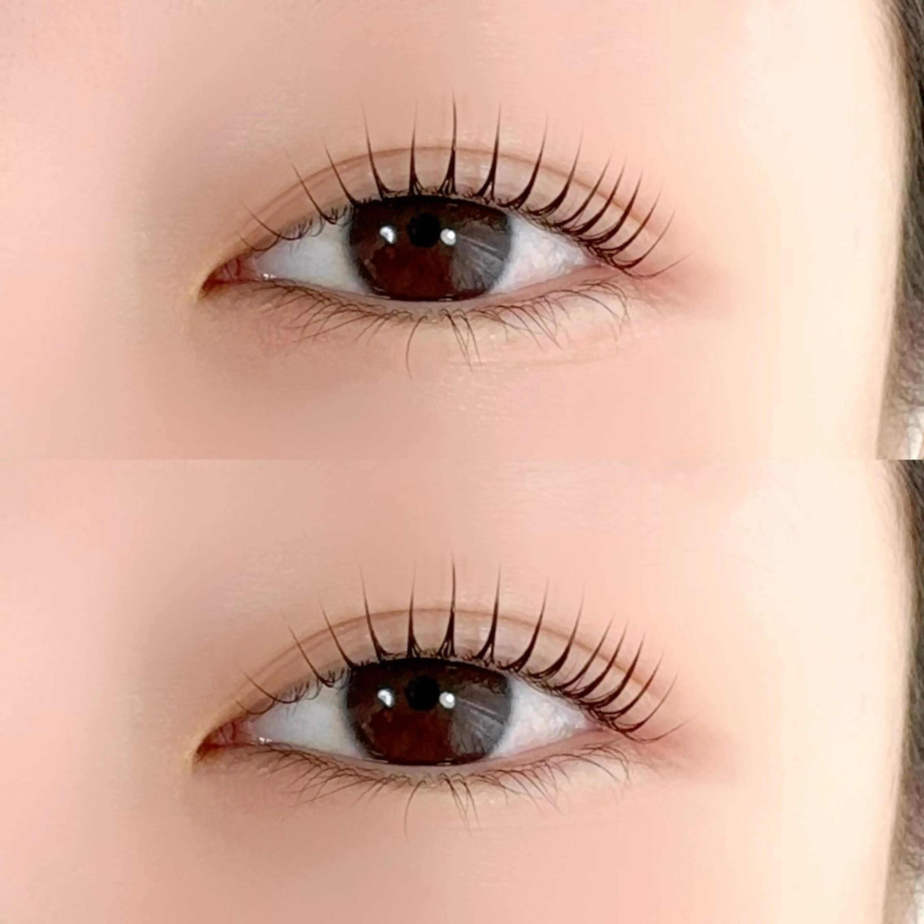 高持続まつ毛パーマ【高濃度トリートメント＋コーティング付き】🌿の写真