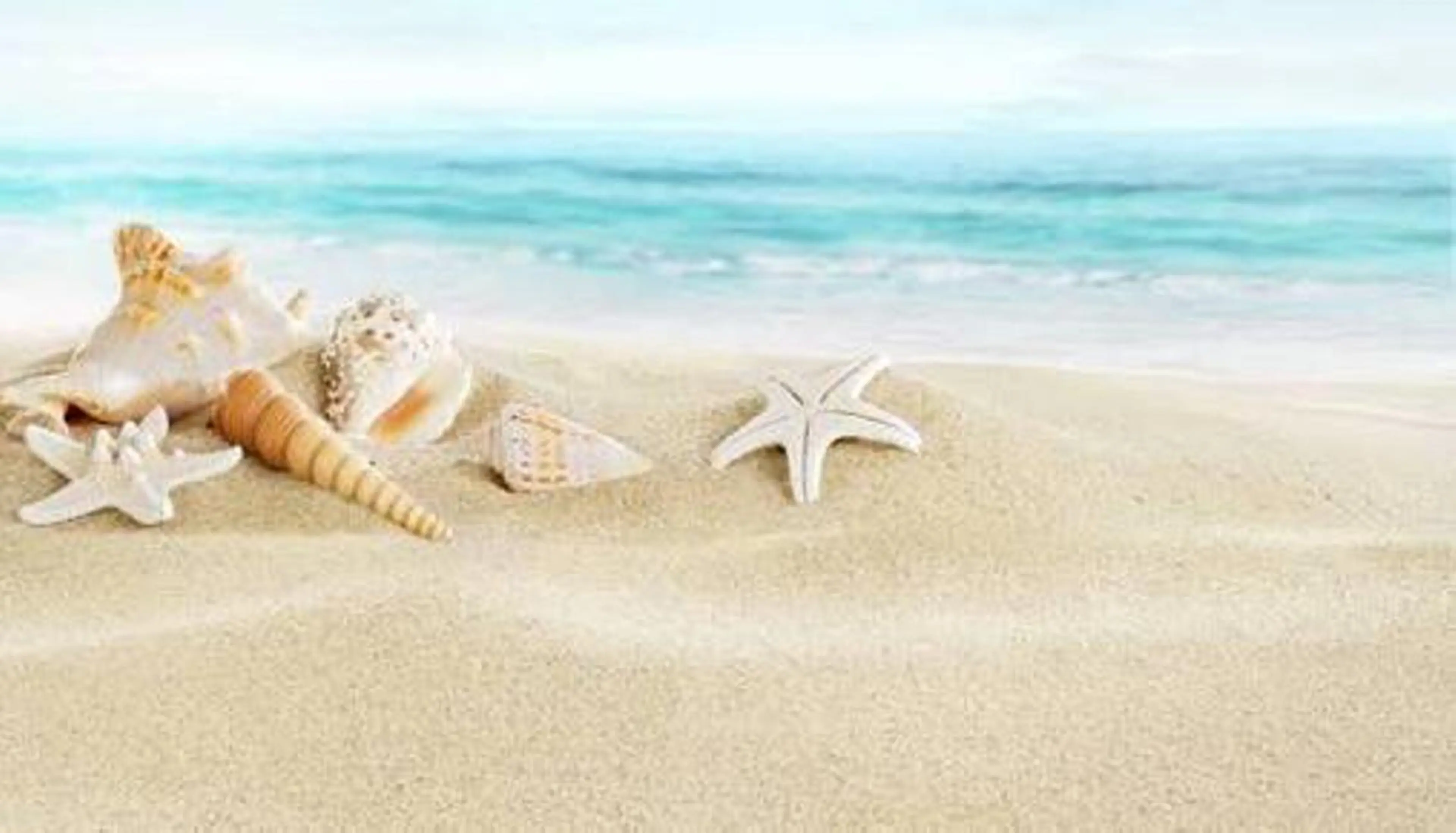 マツエク・マツパ THE SALON ariaのマツエク・マツパデザイン