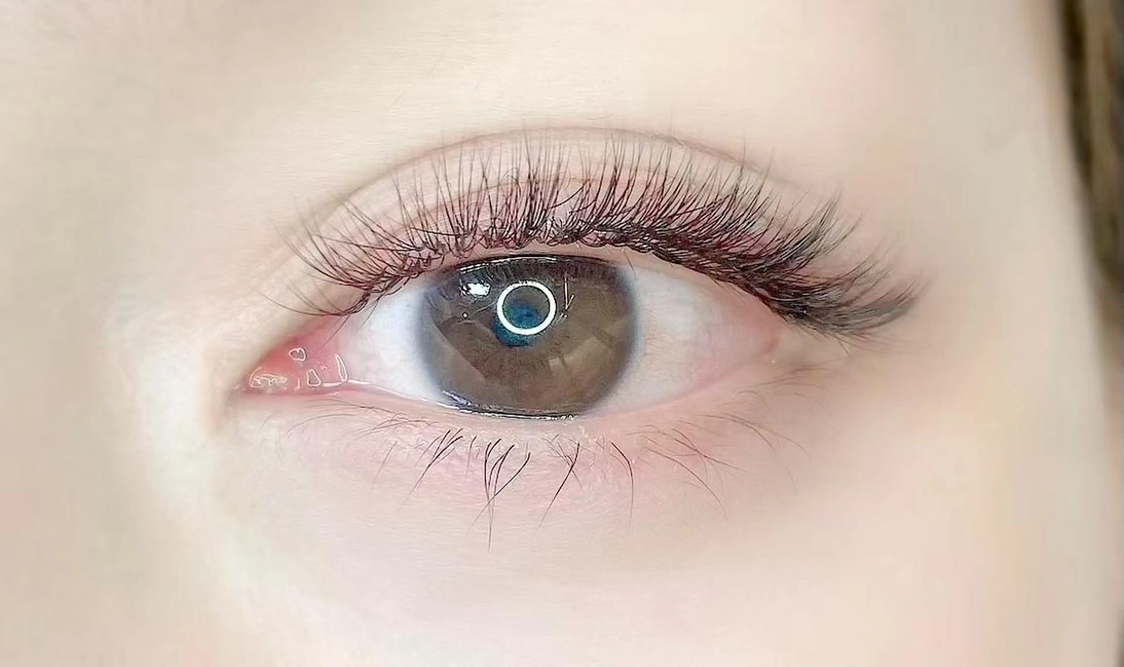 マツエク・マツパ mana ネイル/アイの眉毛・アイブロウイメージ