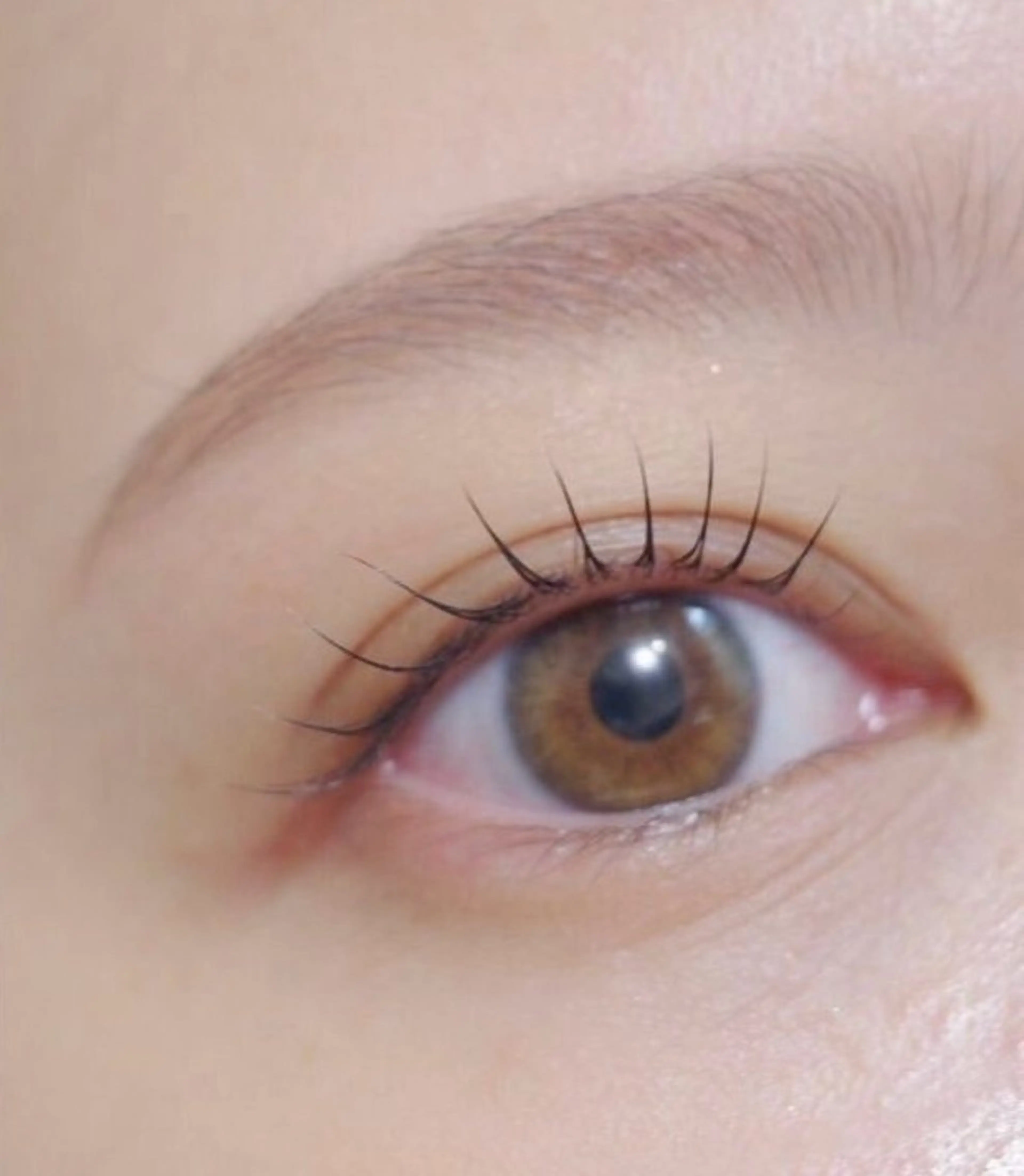 🩵アイブロウWax🩵間引きあり　3/17 12:00/13:00空き◎の写真