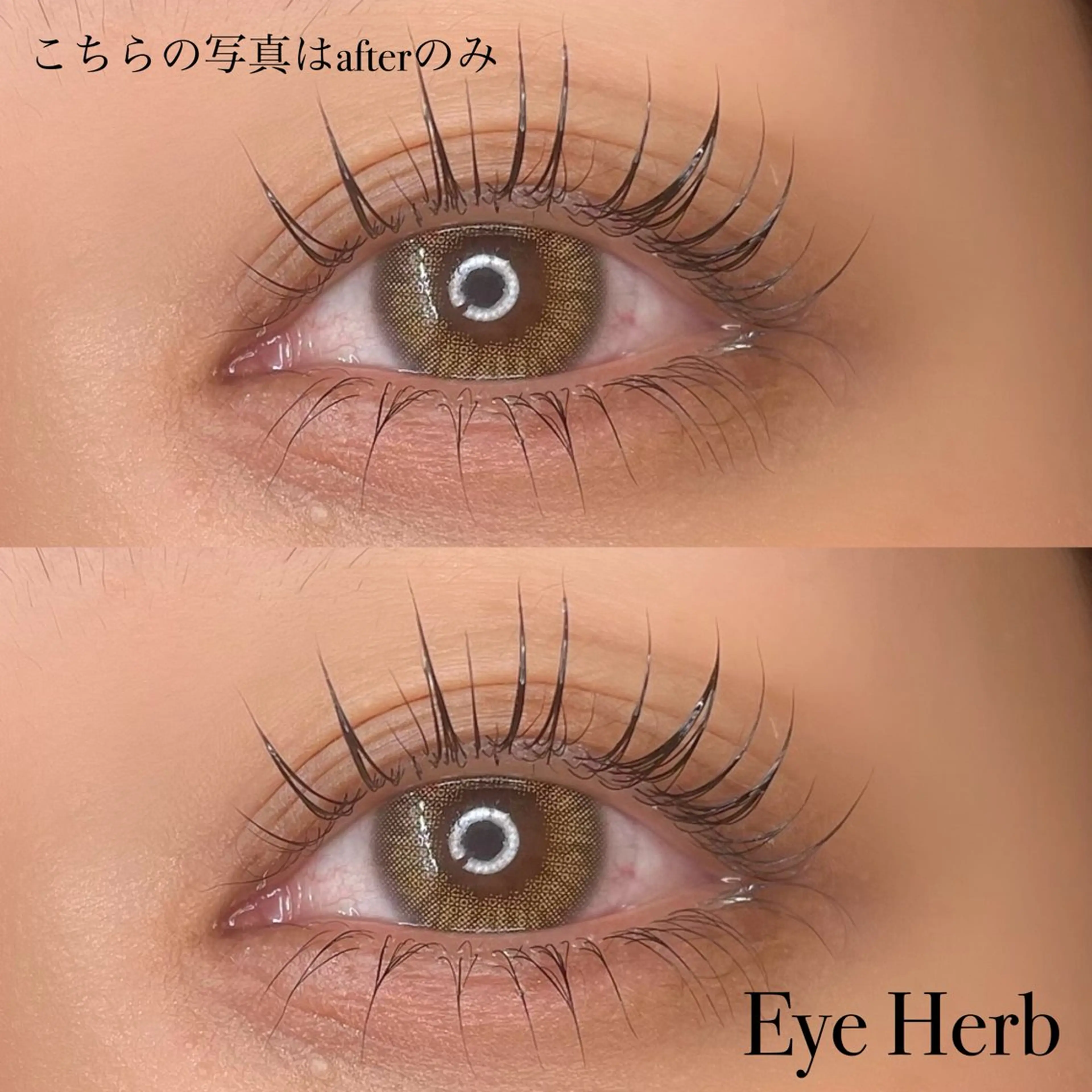 パリジェンヌラッシュリフト上下🕊️🪽の写真