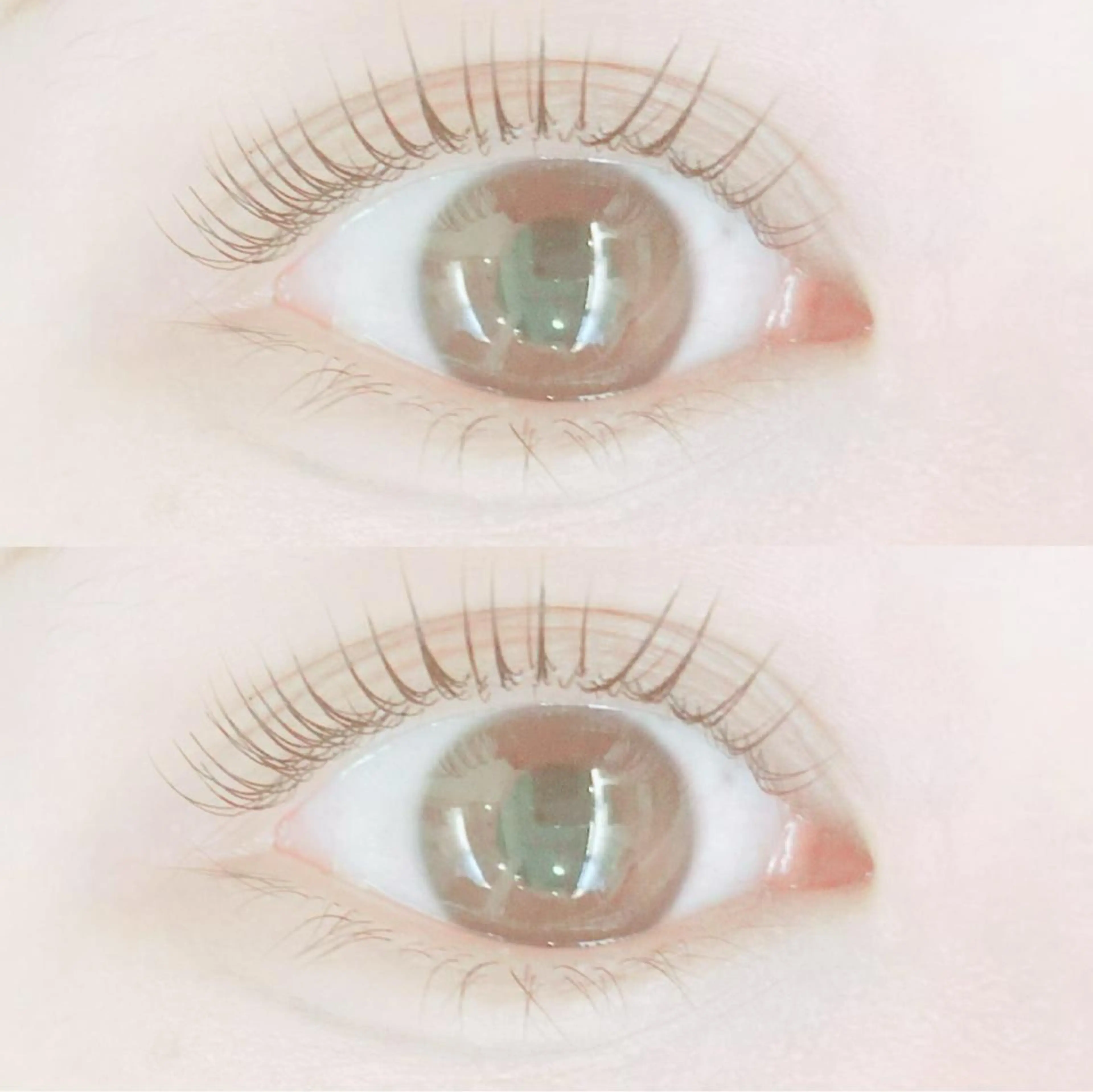 マツエク・マツパ 艶カラー/あいか💜 天王寺阿倍野のマツエク・マツパデザイン