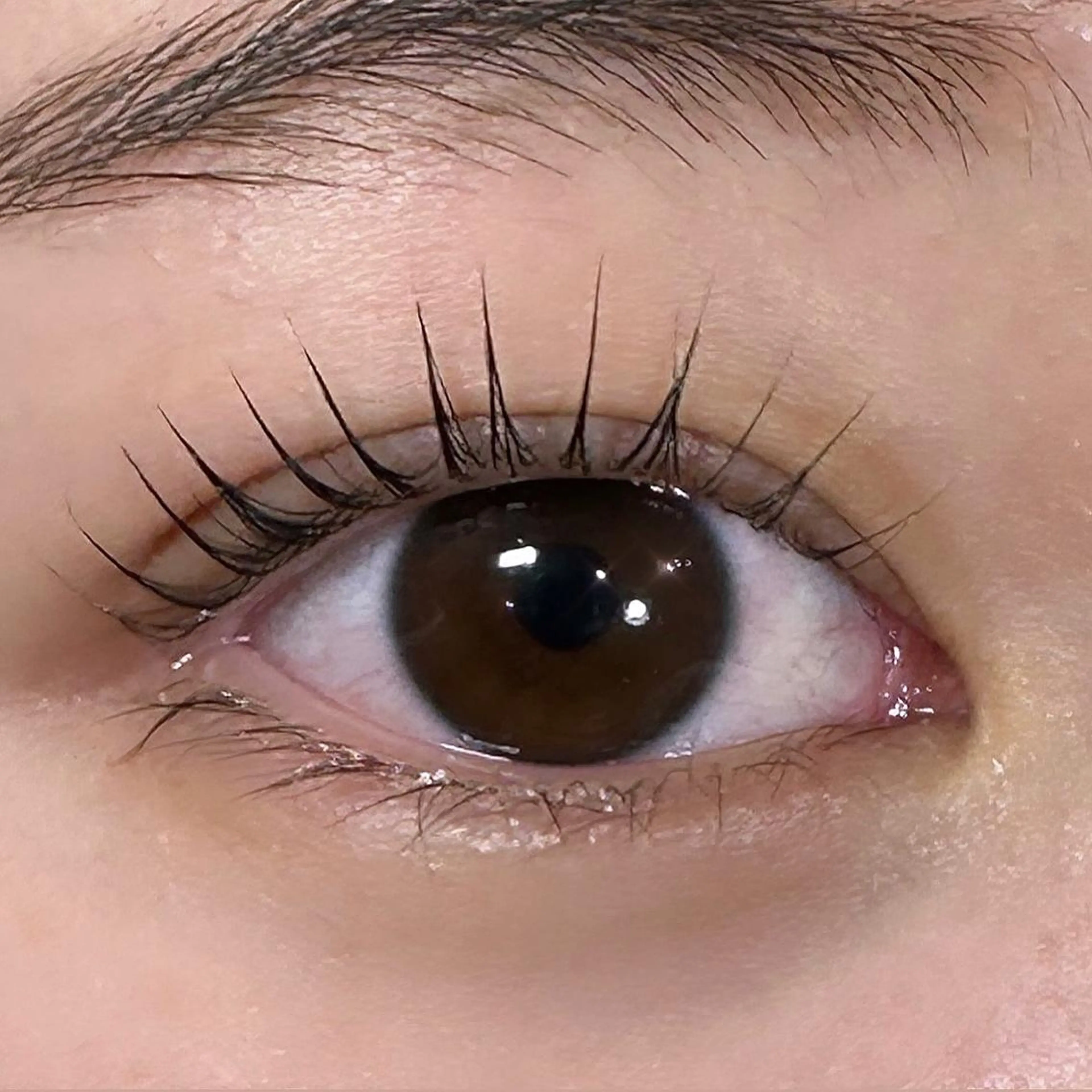 マツエク・マツパ パリジェンヌラッシュリフト 川畑🌻 アンジェリカ錦糸町のマツエク・マツパデザイン