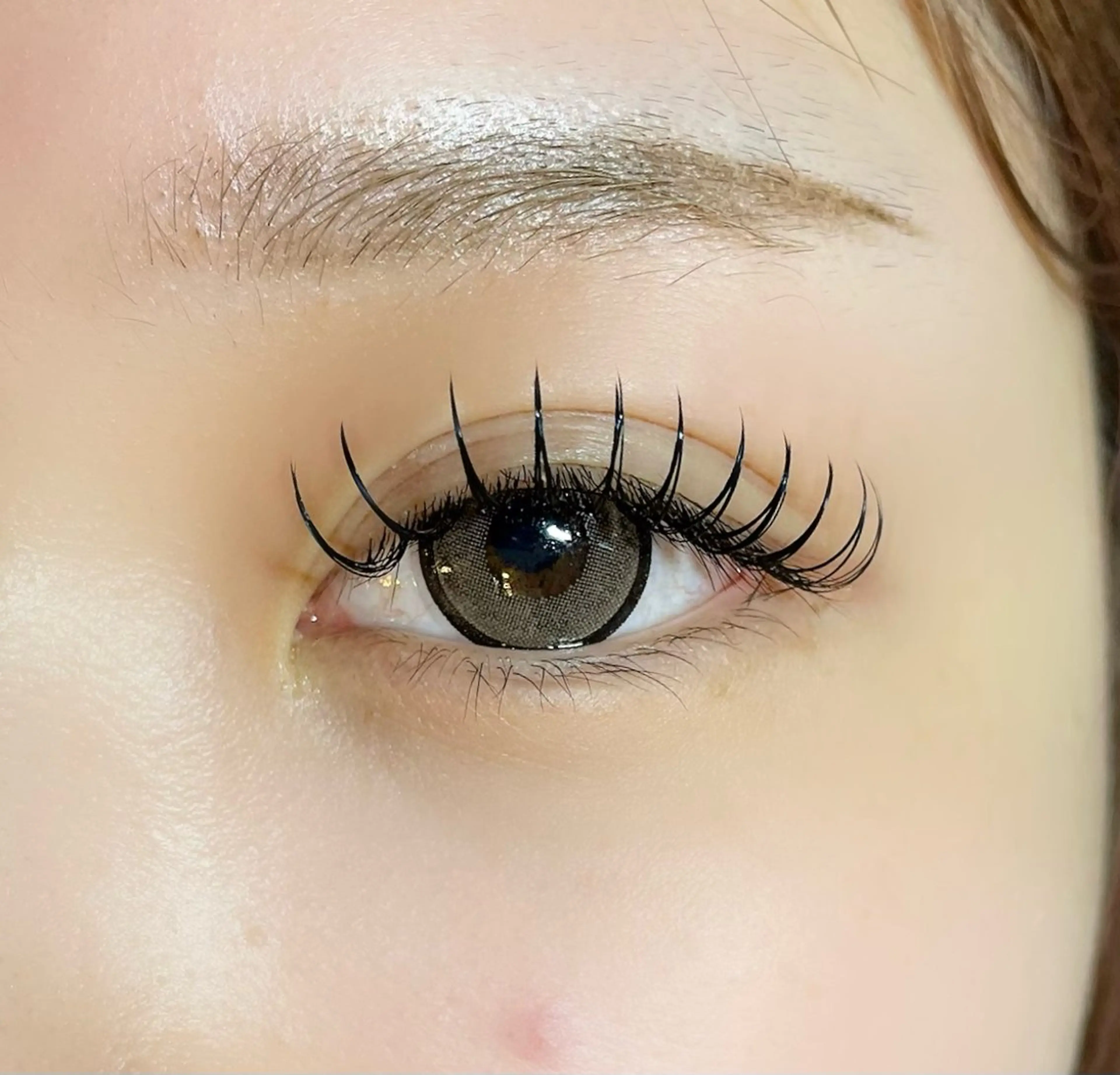 💥限定💥フラットラッシュ120本の写真