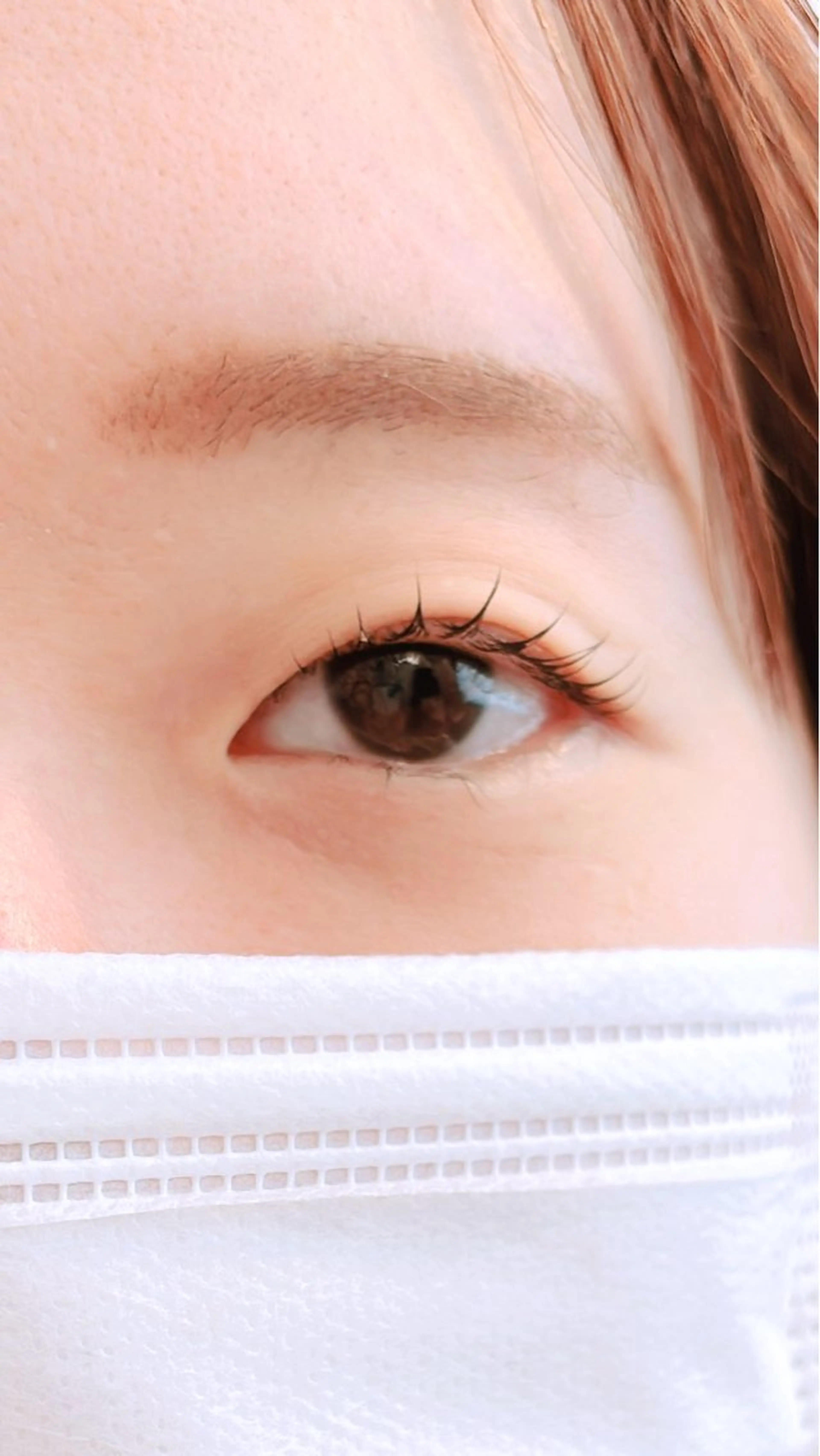 無料上まつ毛パーマ 4月15日12時限定の写真