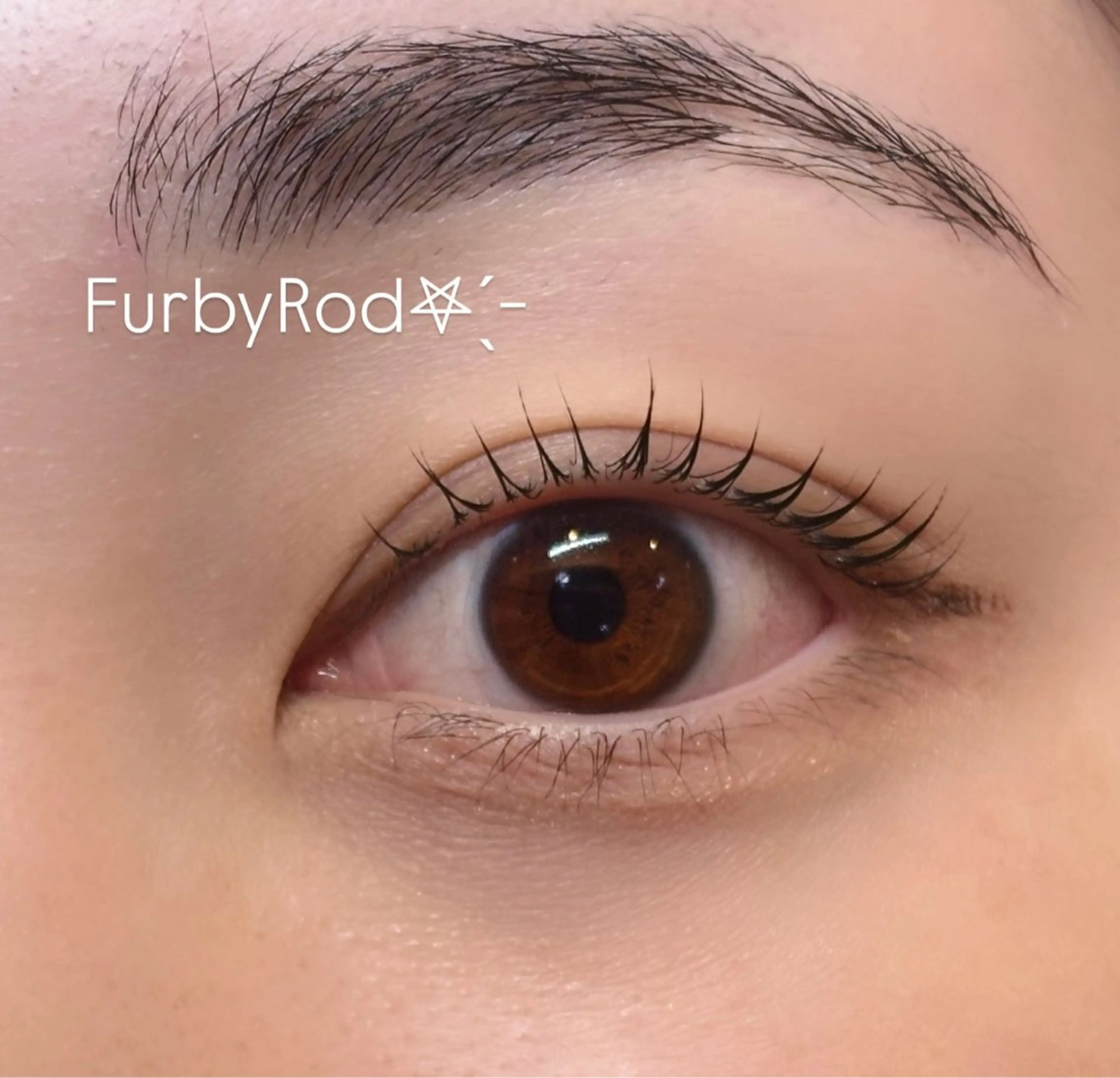 マツエク・マツパ マツパ 似合わせまつ毛パーマ ★Ran★相模大野のマツエク・マツパデザイン