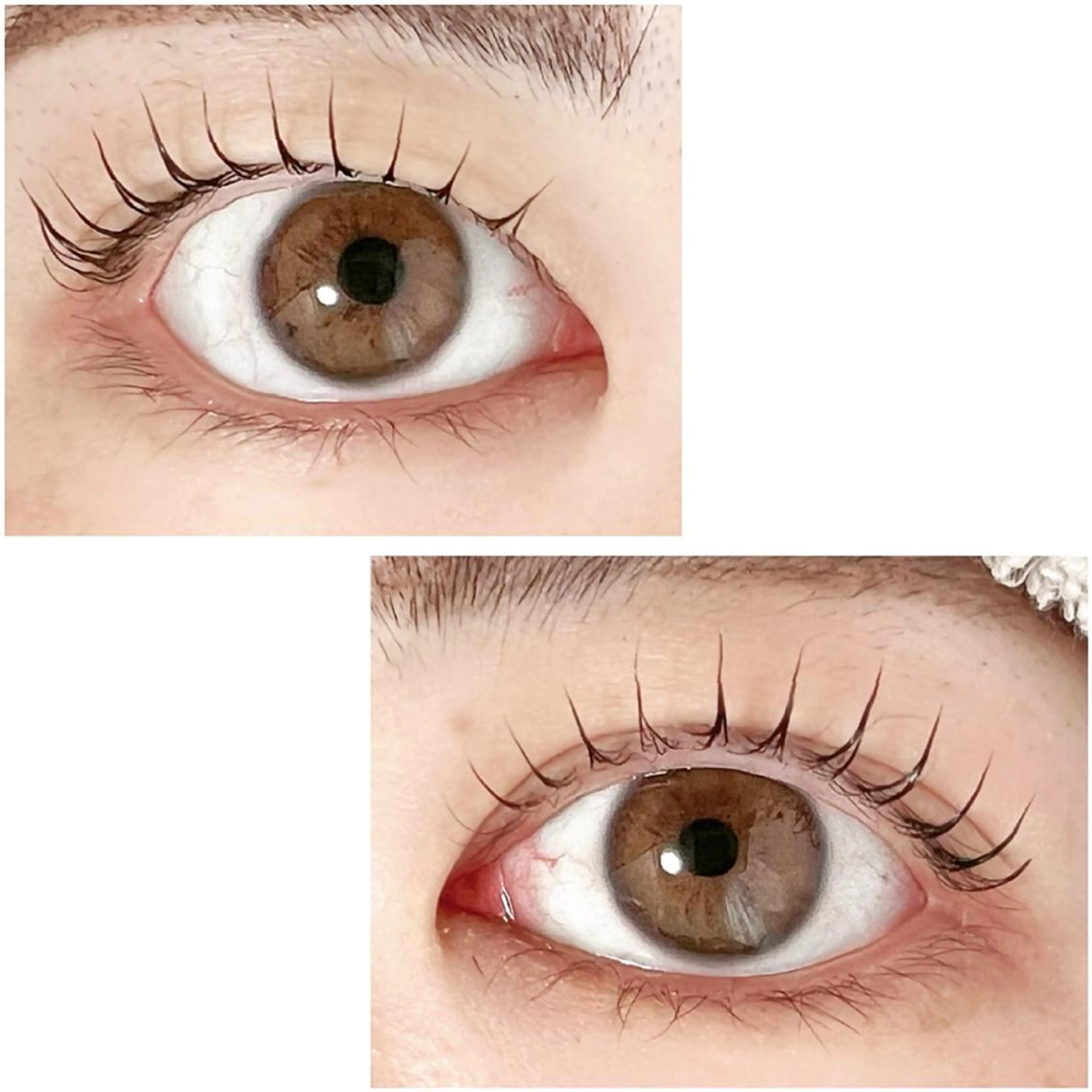 マツエク・マツパ Adorer 🍀アドレ🍀のマツエク・マツパデザイン