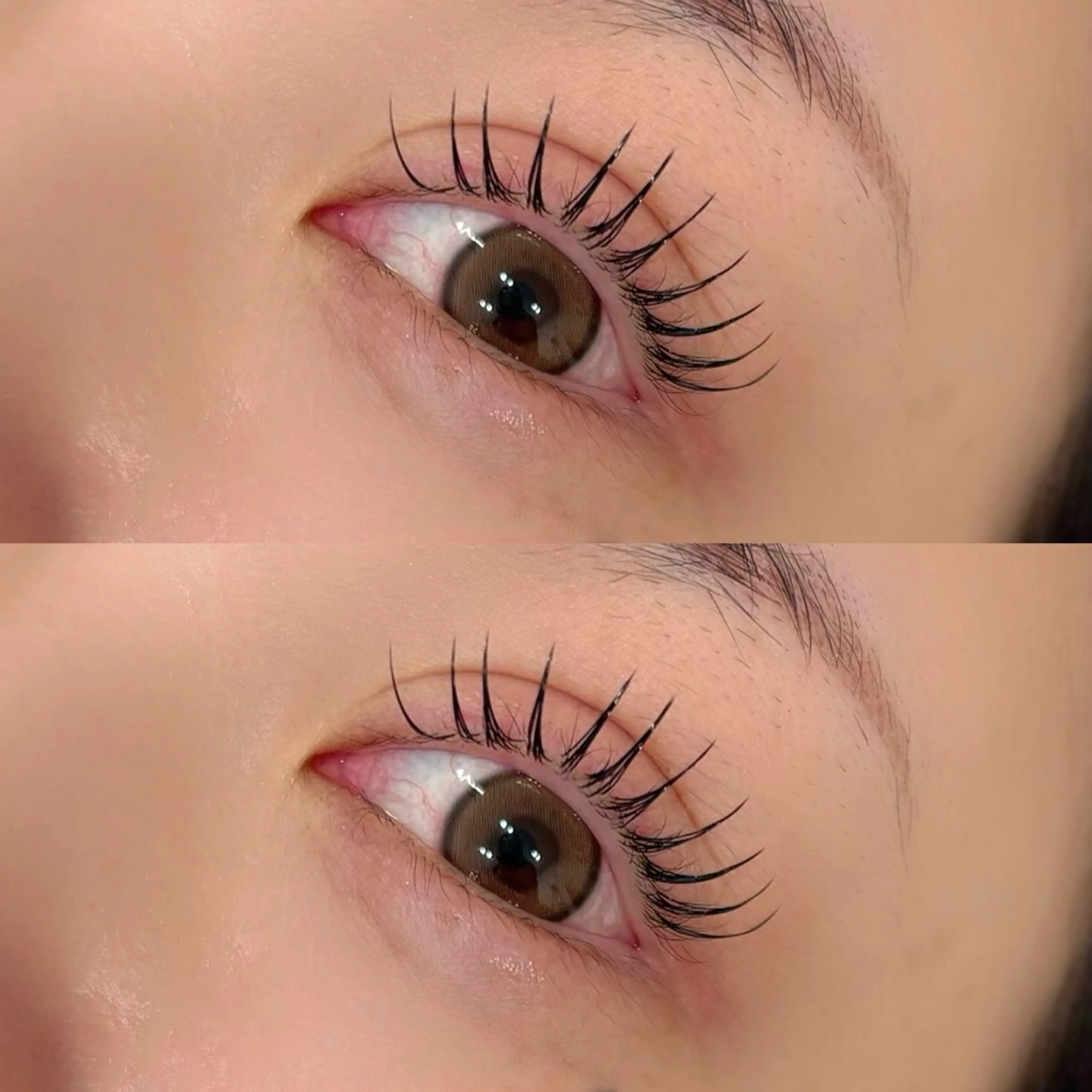 マツエク・マツパ フラットラッシュ TREE 筒井紫歩のマツエク・マツパデザイン