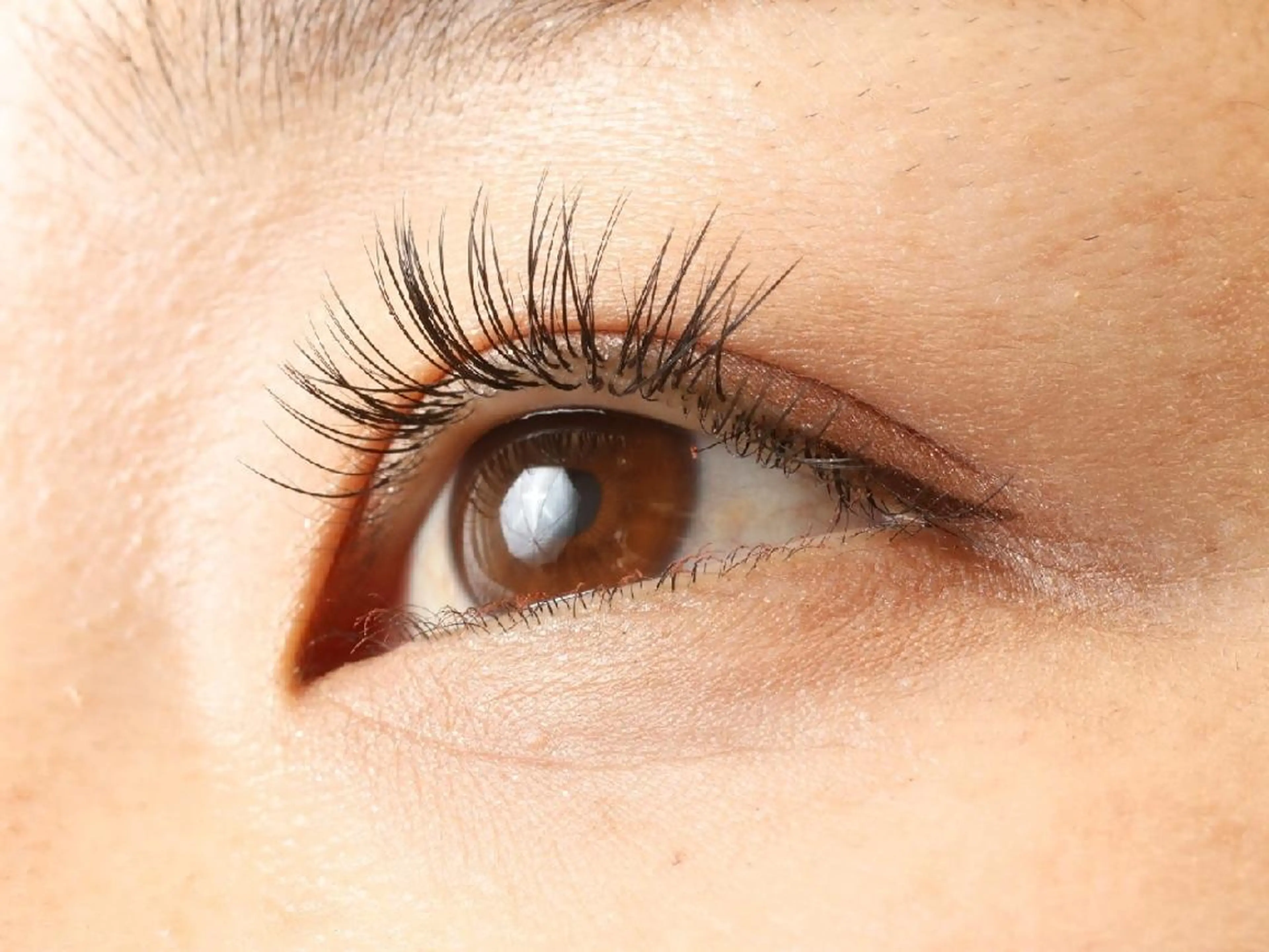 マツエク・マツパ フラットラッシュ ナチュラル Rinto/ makoのマツエク・マツパデザイン