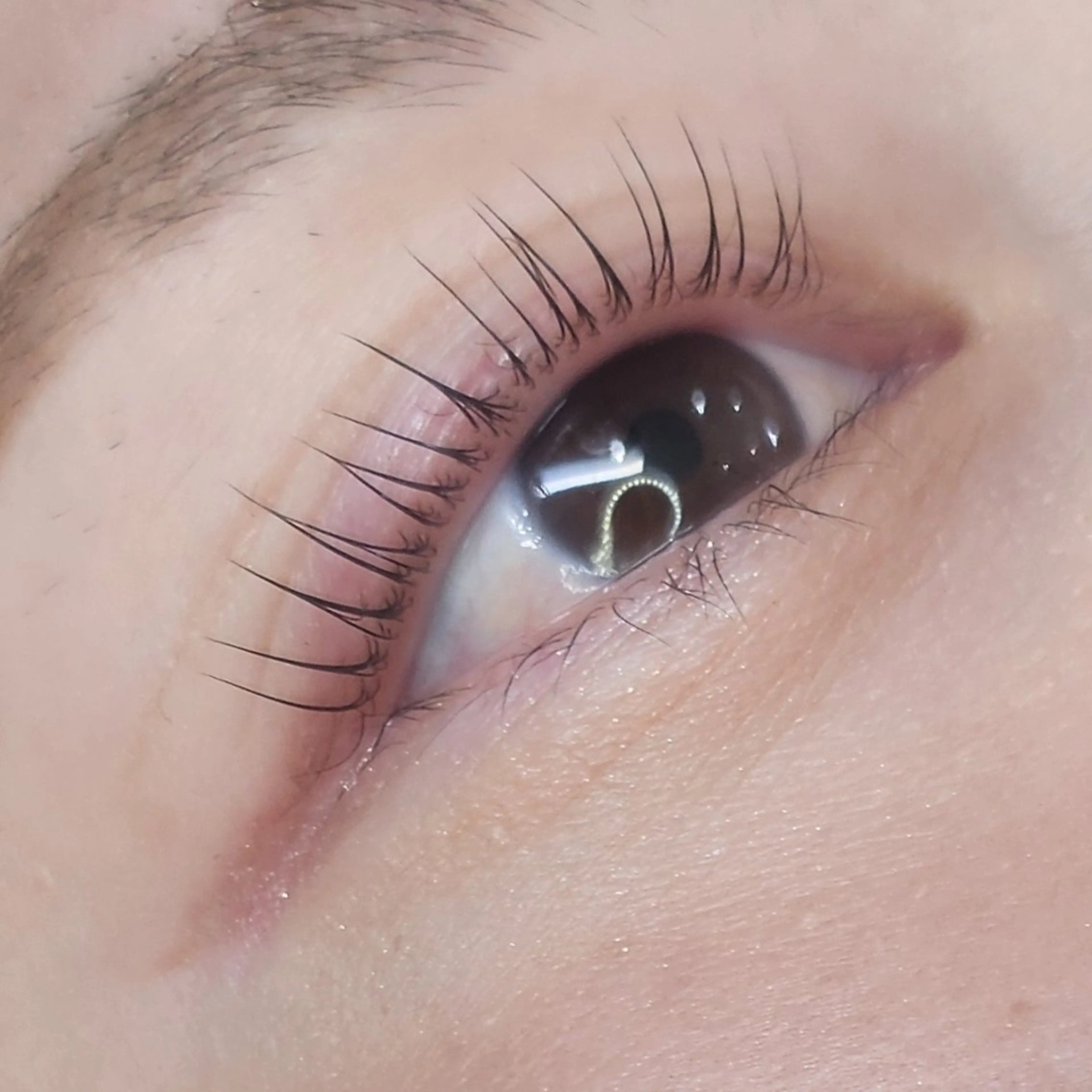 マツエク・マツパ 11/4open👏 Refoile🎉のマツエク・マツパデザイン