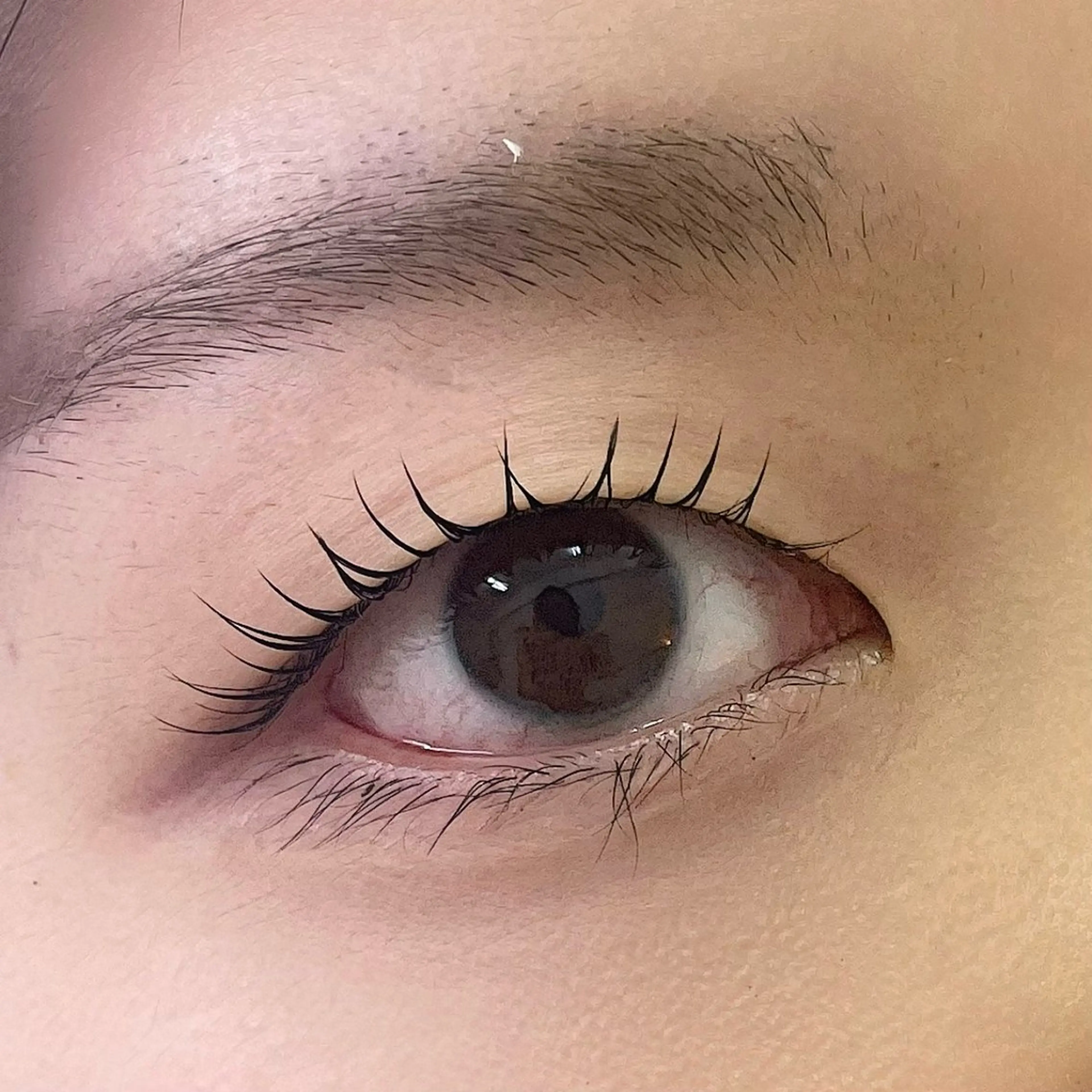 マツエク・マツパ 表参道/まつ毛パーマ 🌷🕊️SAORIのマツエク・マツパデザイン