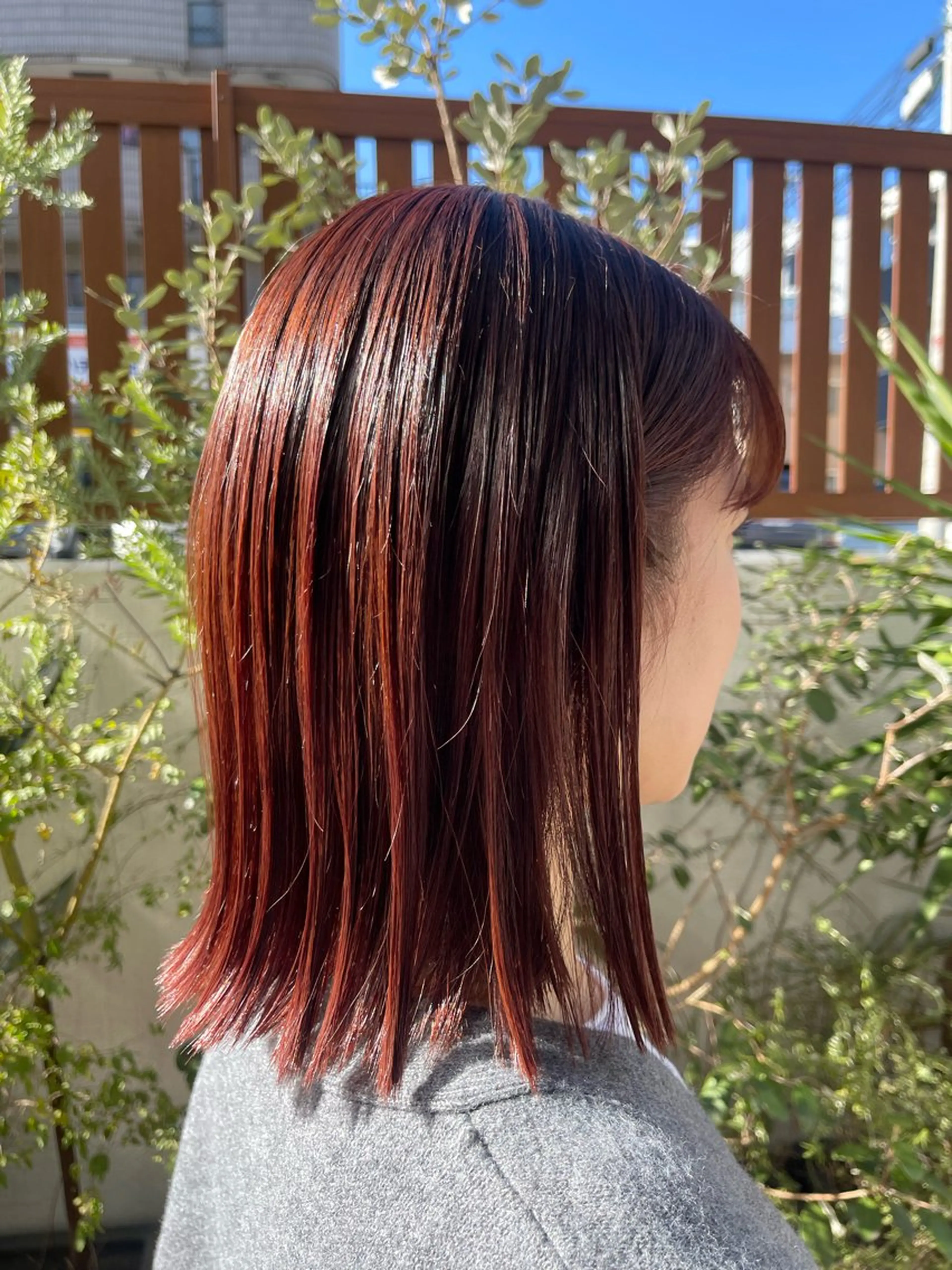 カラー カシス レッドカラー 🌱ONE003🌱 原田涼香のヘアスタイル