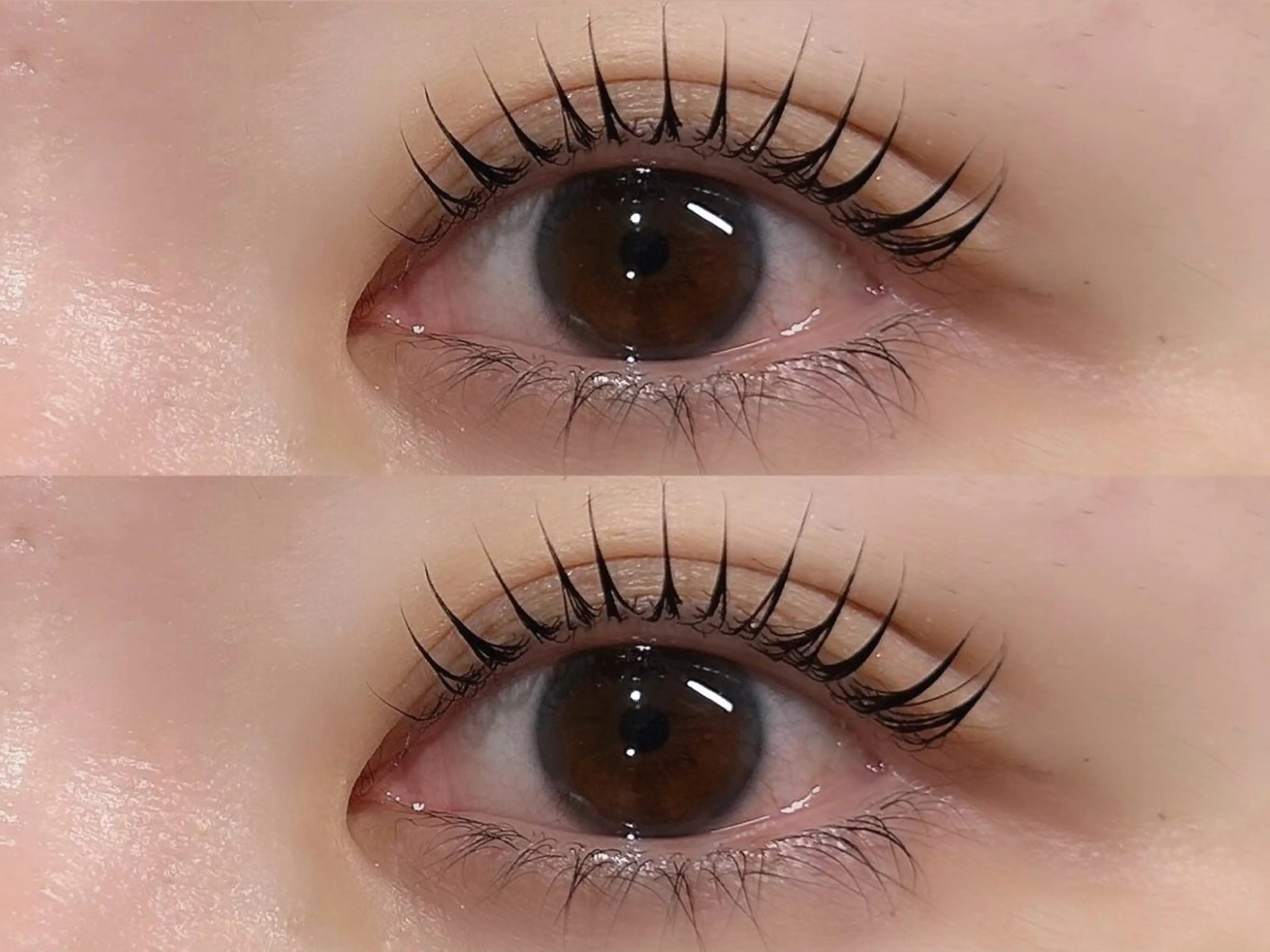 マツエク・マツパ マツパ 🤍amiLe 🫧Miyuki🤍の眉毛・アイブロウイメージ