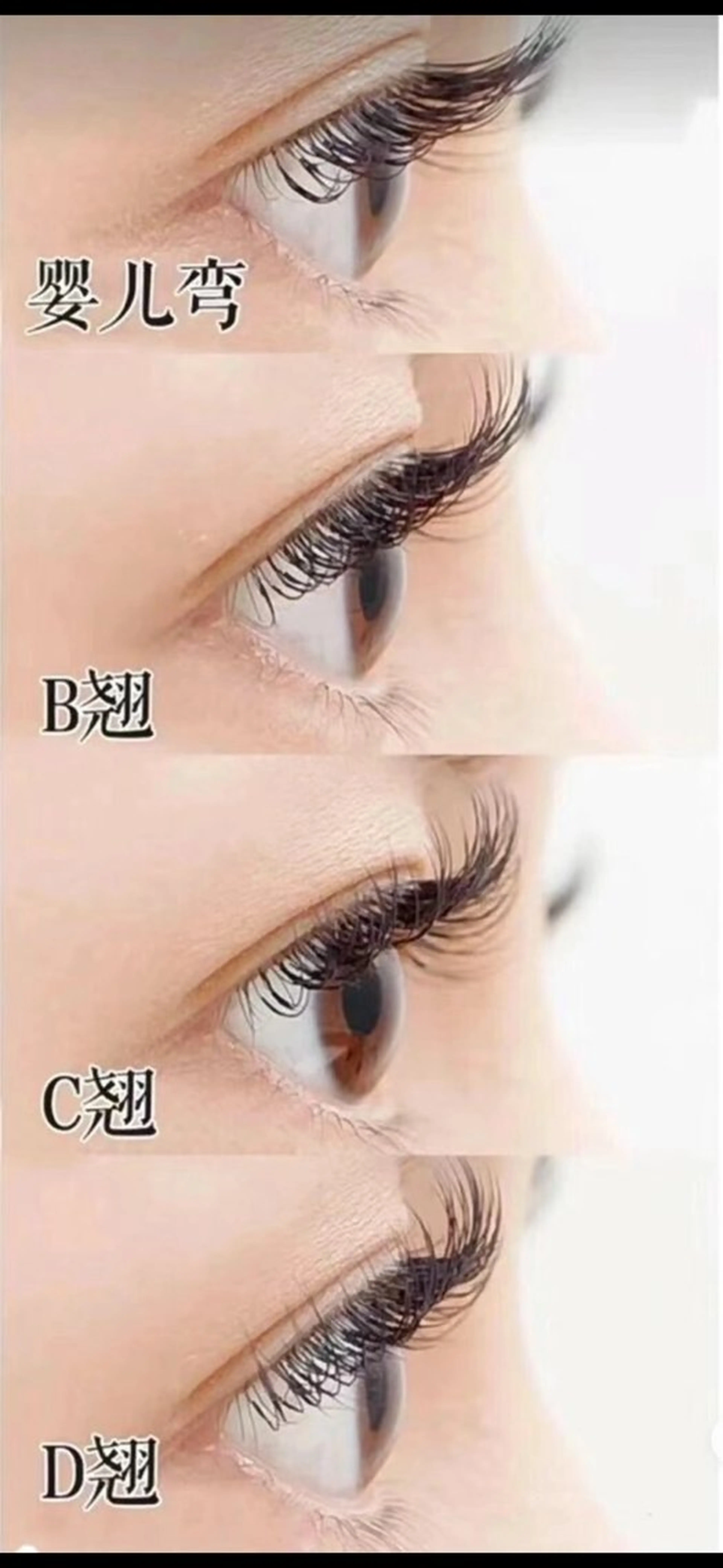 濃密デザイン（ボリュームラッシュ）100本📣📣📣 ナチュラルやや濃さが欲しい方におすすめです。オフ➕500🫲🫱の写真