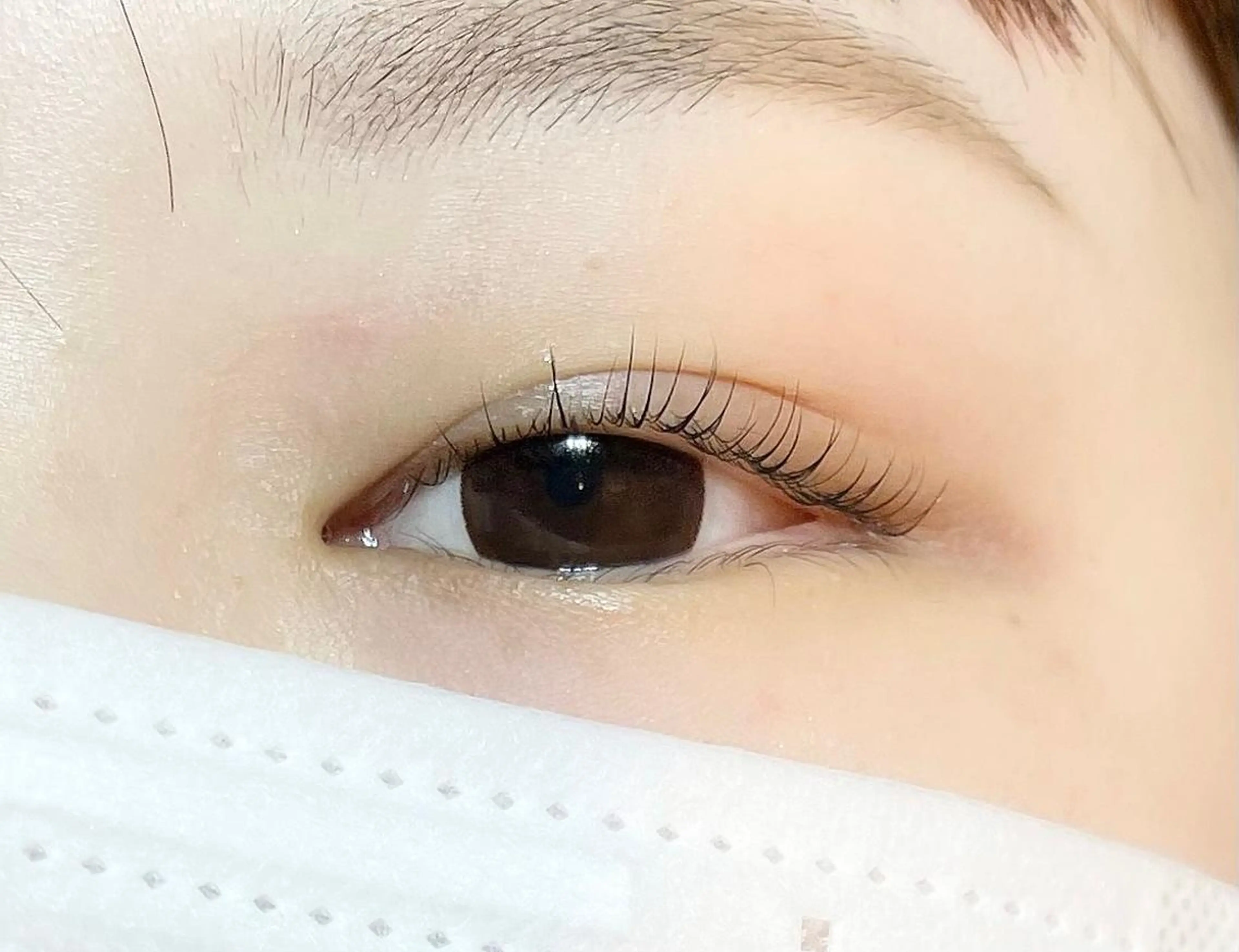 マツエク・マツパ 🍒眉毛/まつ毛 Sanaの眉毛・アイブロウイメージ