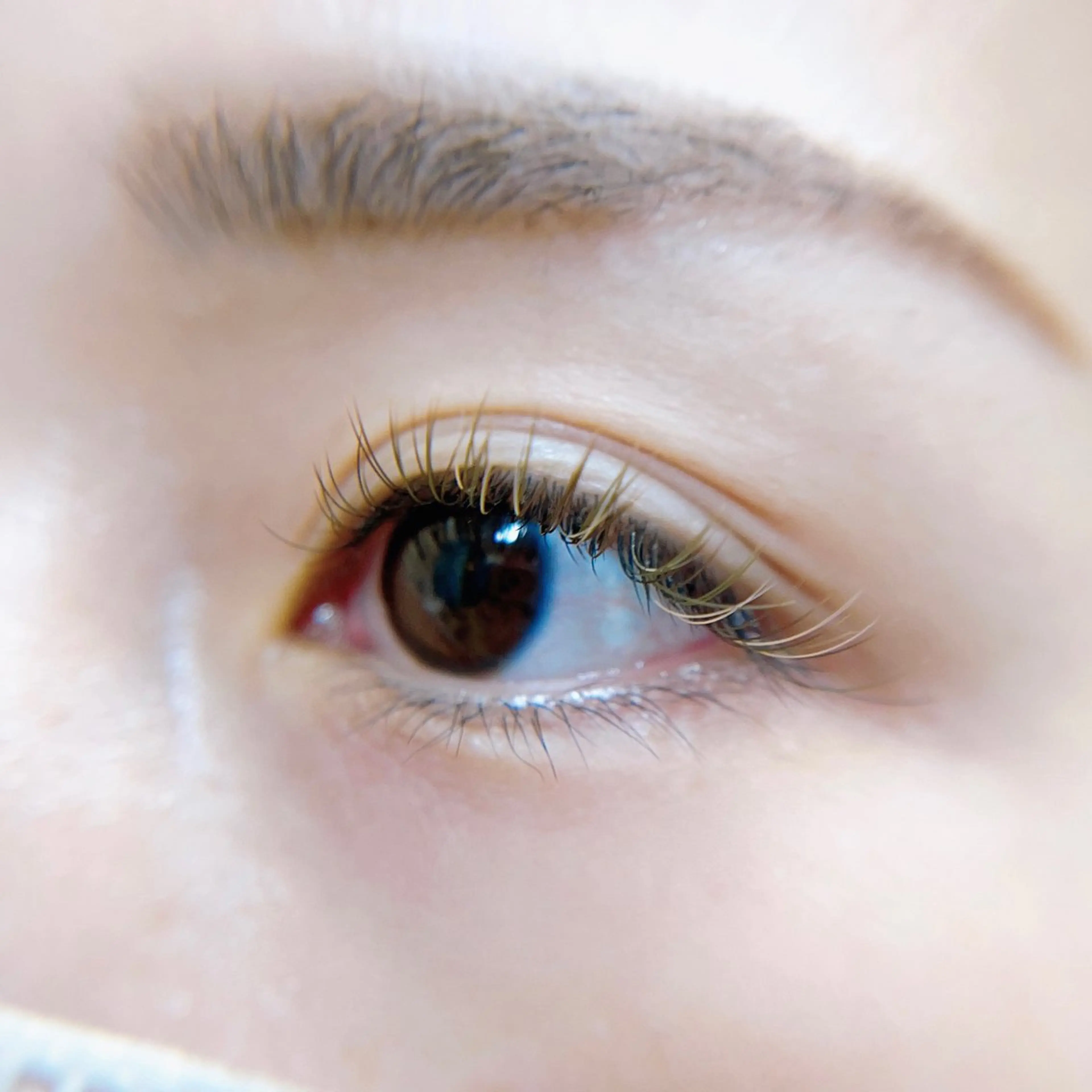 マツエク・マツパ Leola ERIKAのマツエク・マツパデザイン