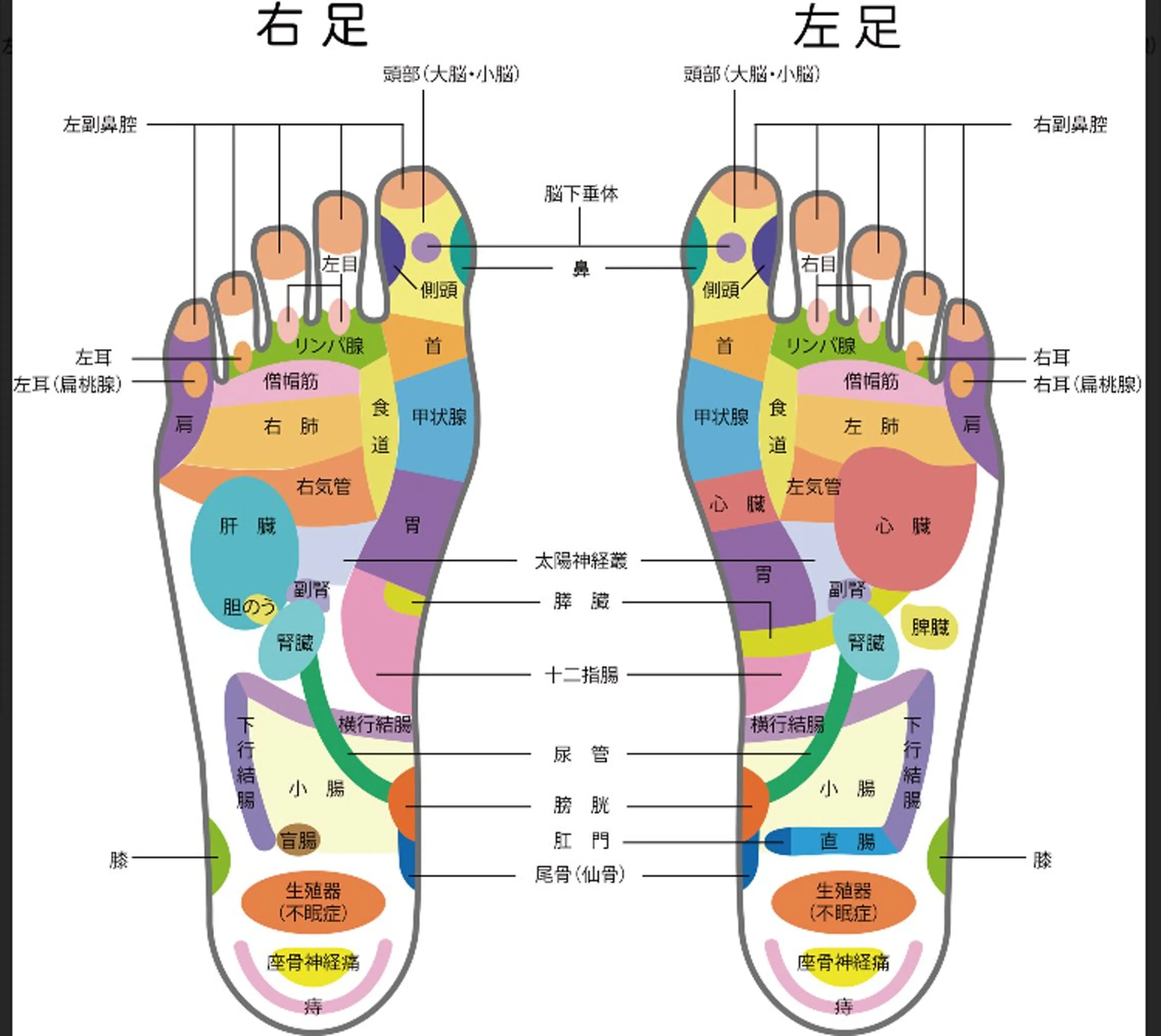 近藤 由美のエステ・リラクイメージ