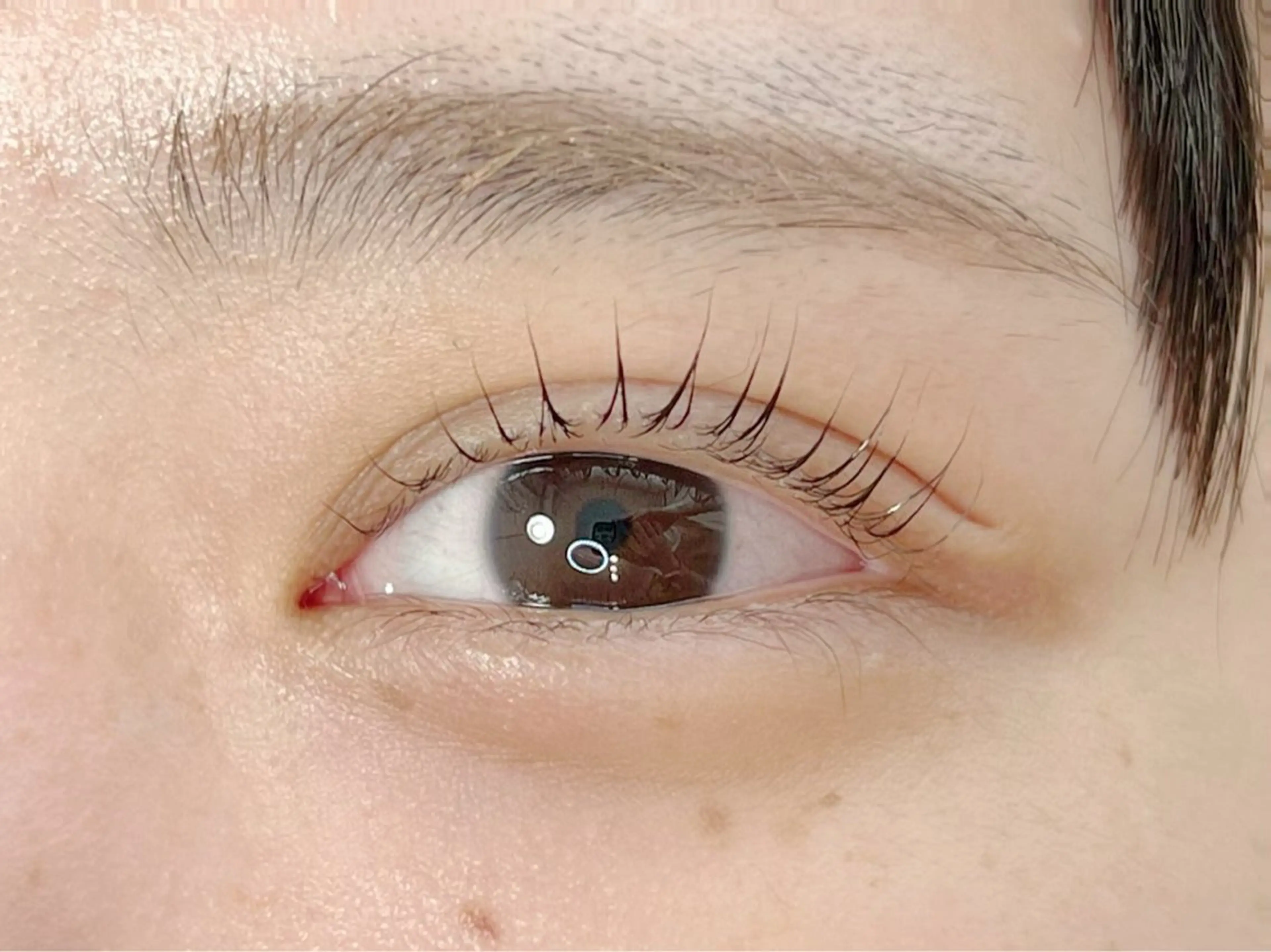 マツエク・マツパ Rimona tomomiのマツエク・マツパデザイン