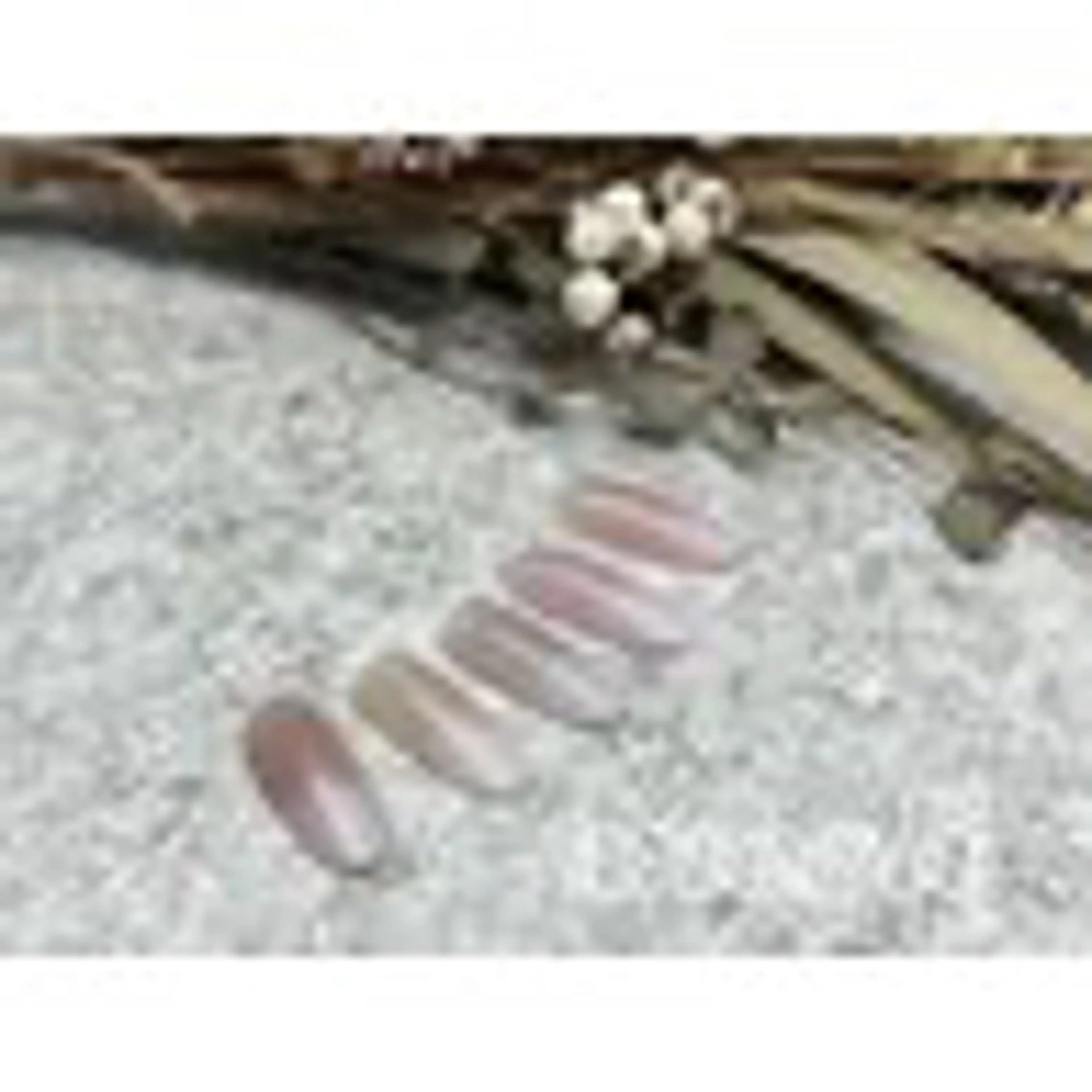 ネイル nail salon meoli　アヤのネイルデザイン