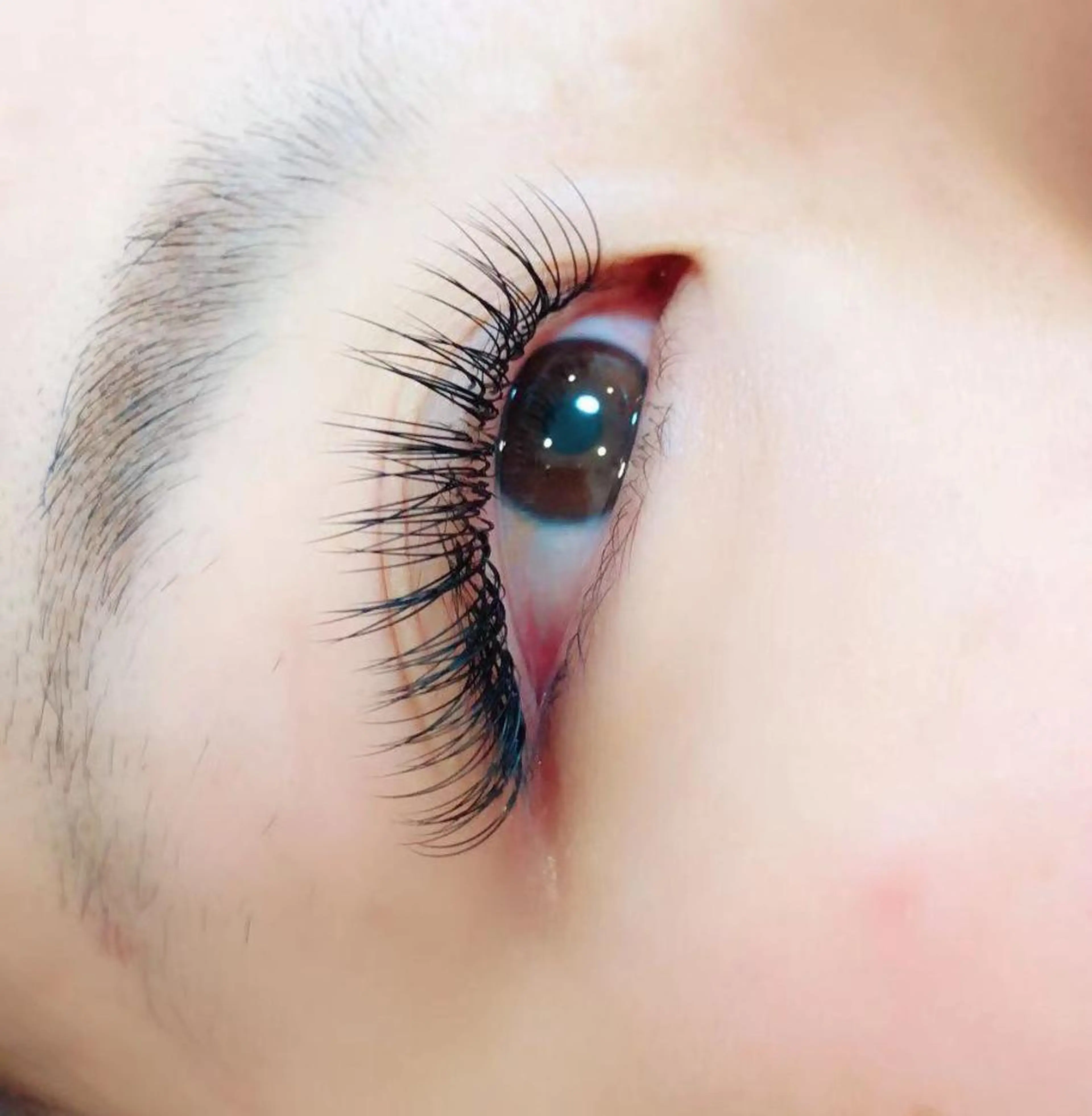 マツエク・マツパ Ali Beauty Salon 新小岩のマツエク・マツパデザイン