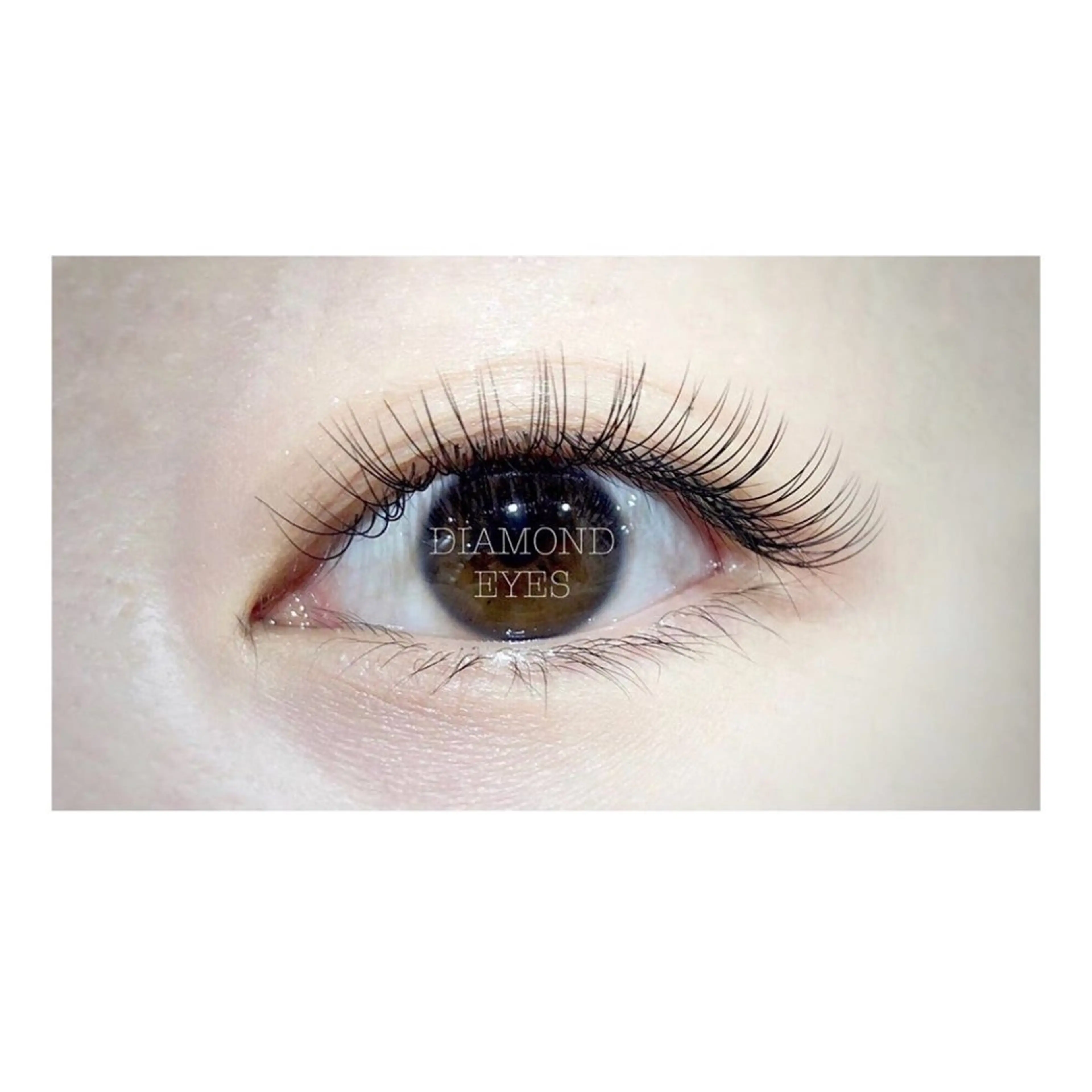 LEDシングルエクステ（セーブル） 最低保証100本💘の写真