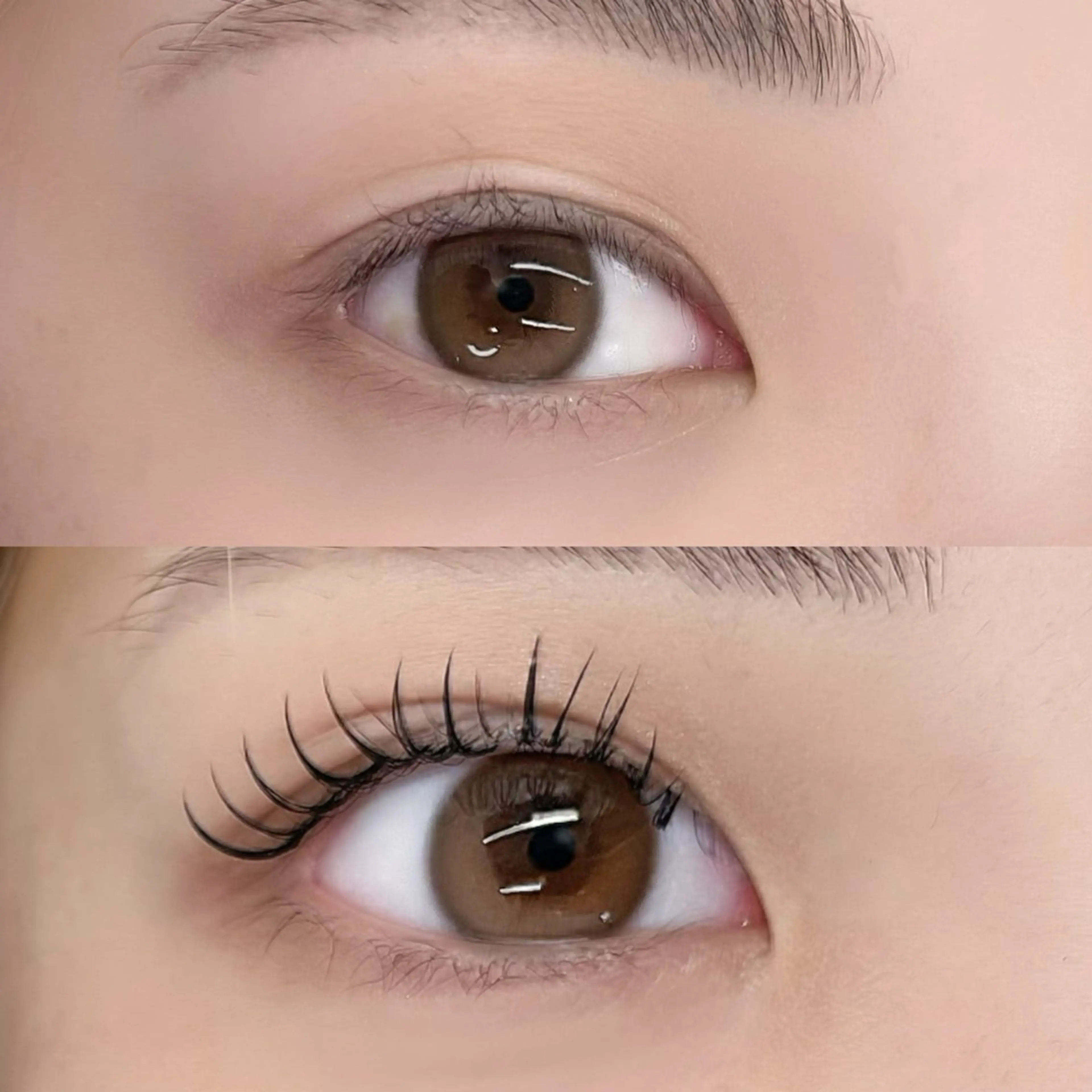 マツエク・マツパ マツエク eyelash___ hashimotoのマツエク・マツパデザイン