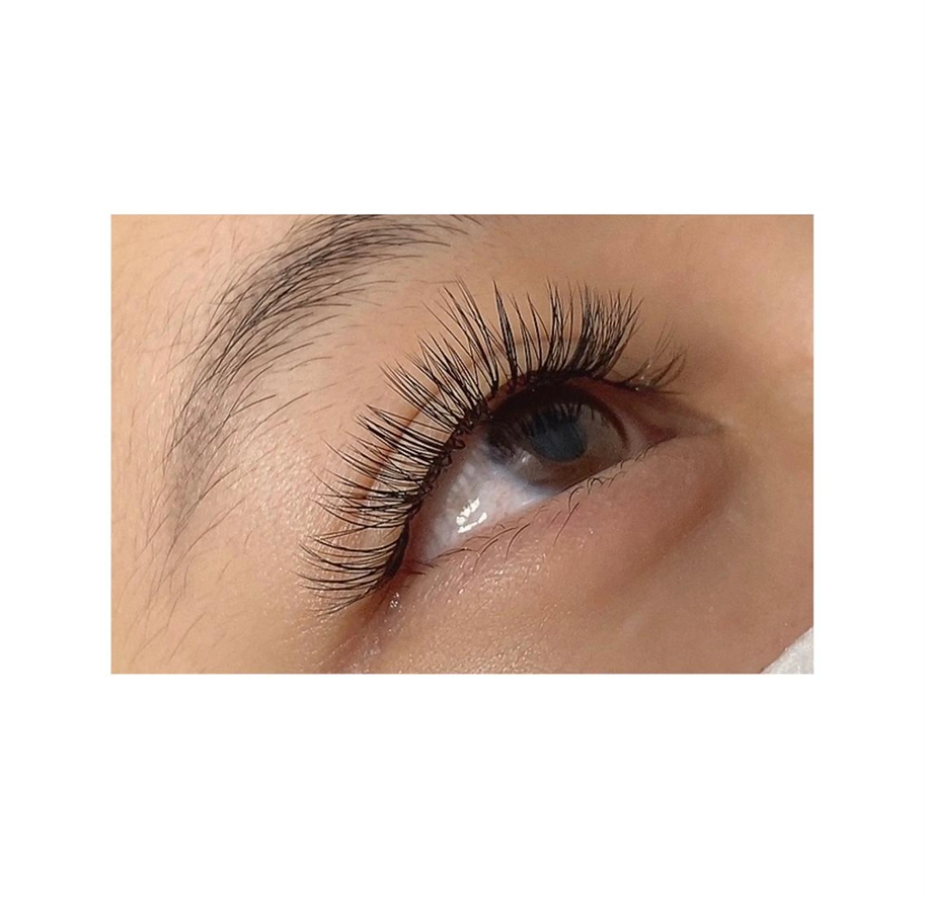 マツエク・マツパ eyelash Anmut Lunaのマツエク・マツパデザイン